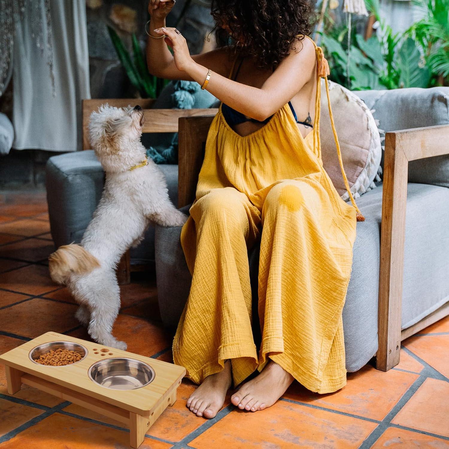 Soporte Elevado para Perros WYHTB con 2 Cuencos de Acero Inoxidable