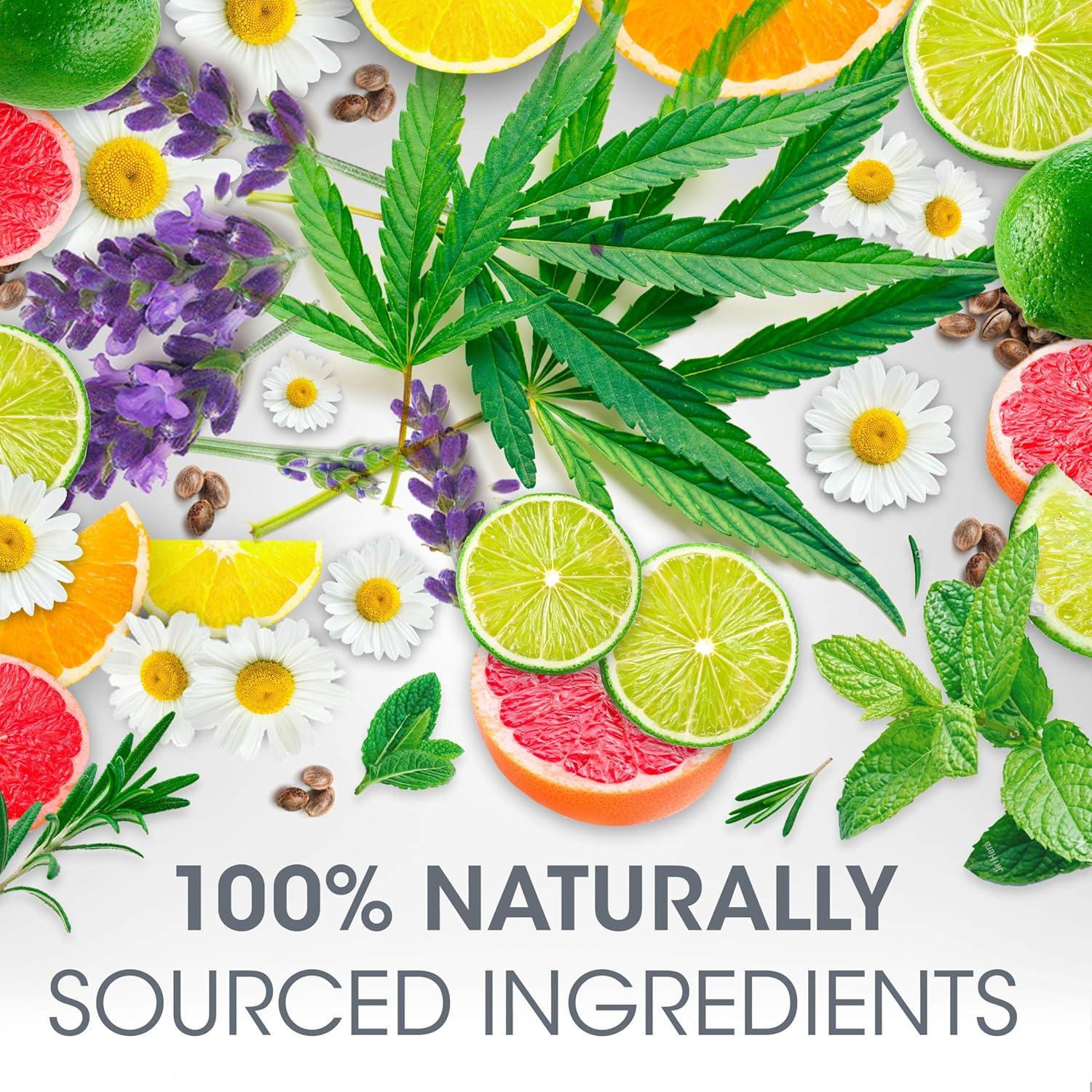 Bálsamo Labial ChapStick Hidratación Total Manzanilla + Lavanda 3.4g