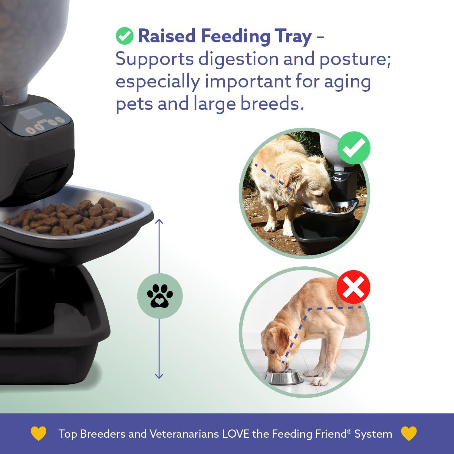 Comedero Automático Feeding Friend® para Perros y Gatos - Negro
