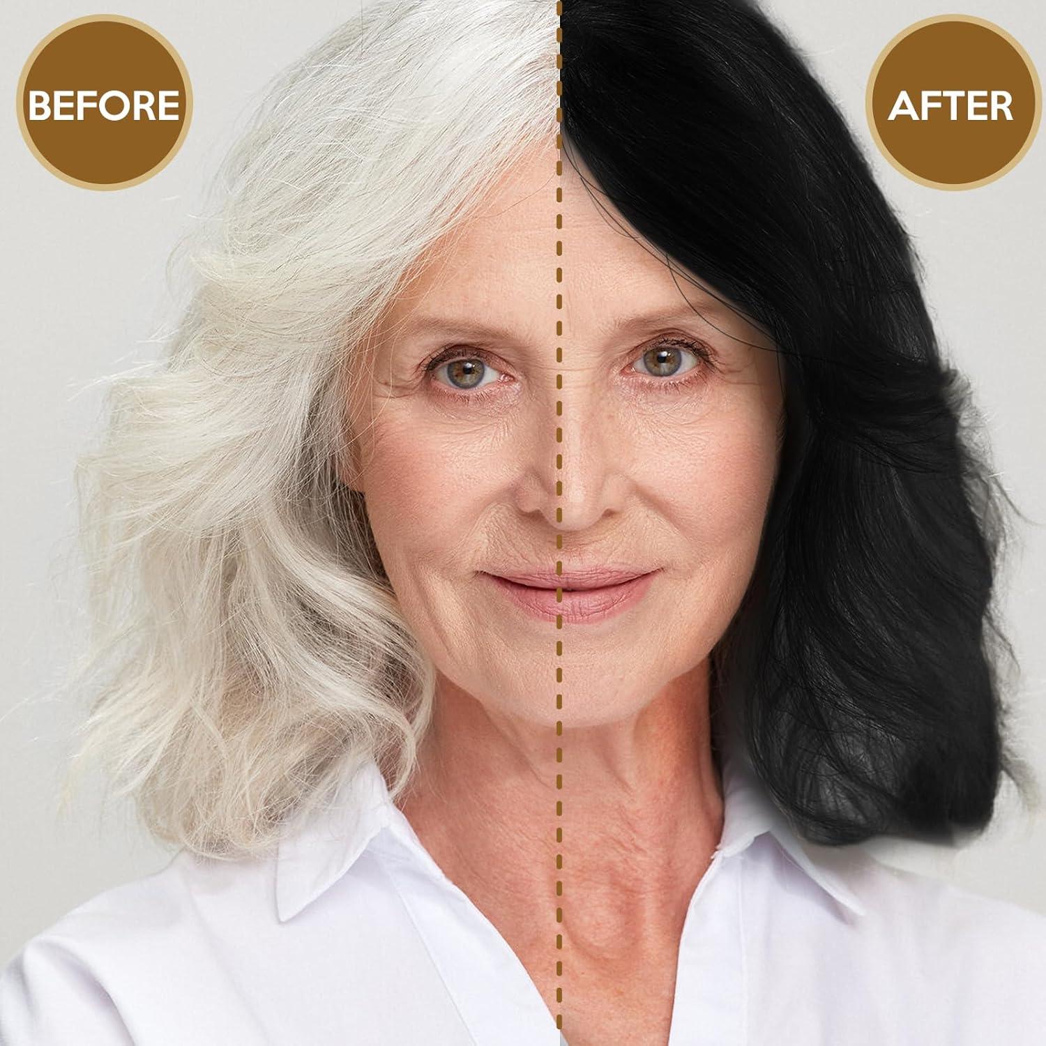 Champú Tinte Herbal 3 en 1 Temgofeau 500ml Negro