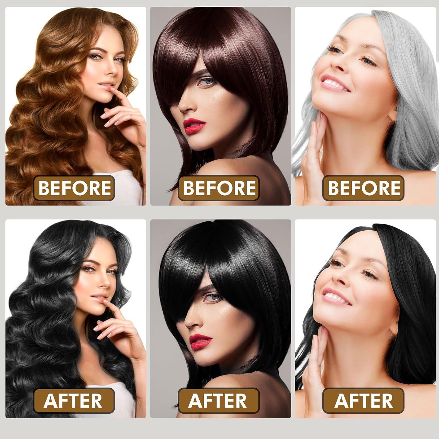 Champú Tinte Herbal 3 en 1 Temgofeau 500ml Negro