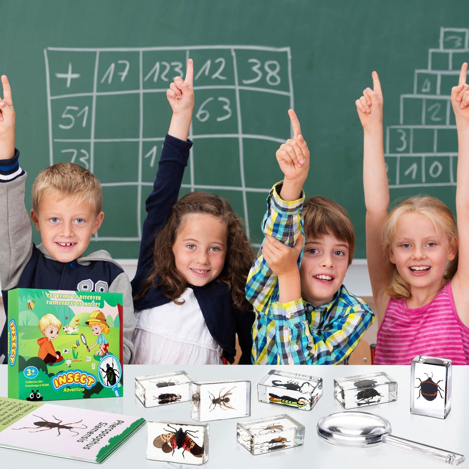 Colección de Insectos en Resina Briwooody con Lupa y Tarjetas