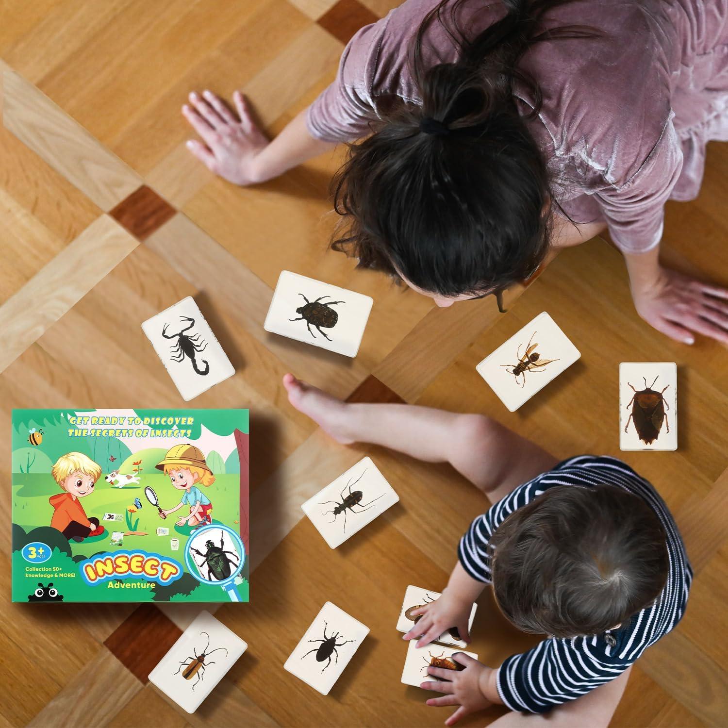 Colección de Insectos en Resina Briwooody con Lupa y Tarjetas