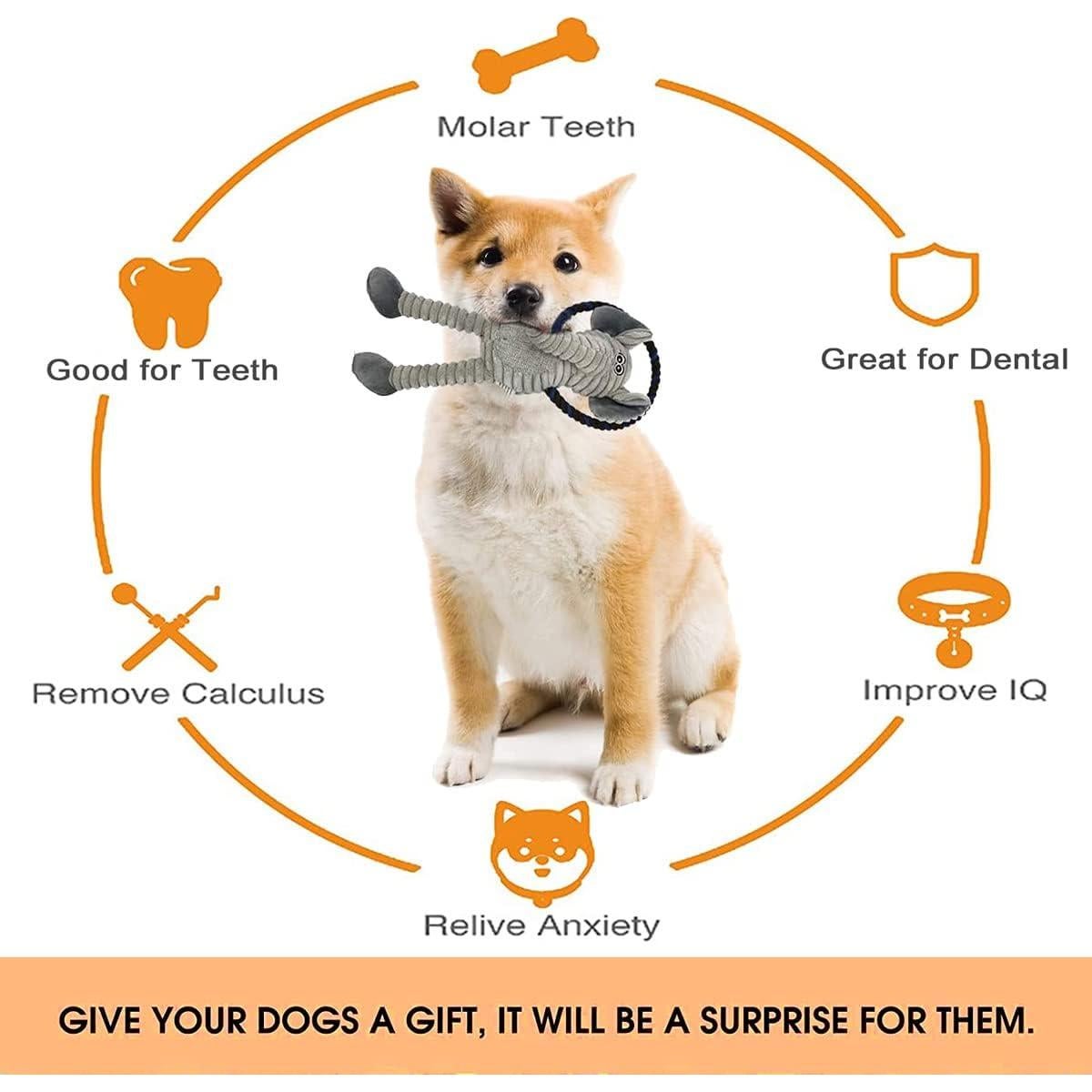 Juguete Interactivo para Perros HUGEME - Cuerda y Peluche 30cm