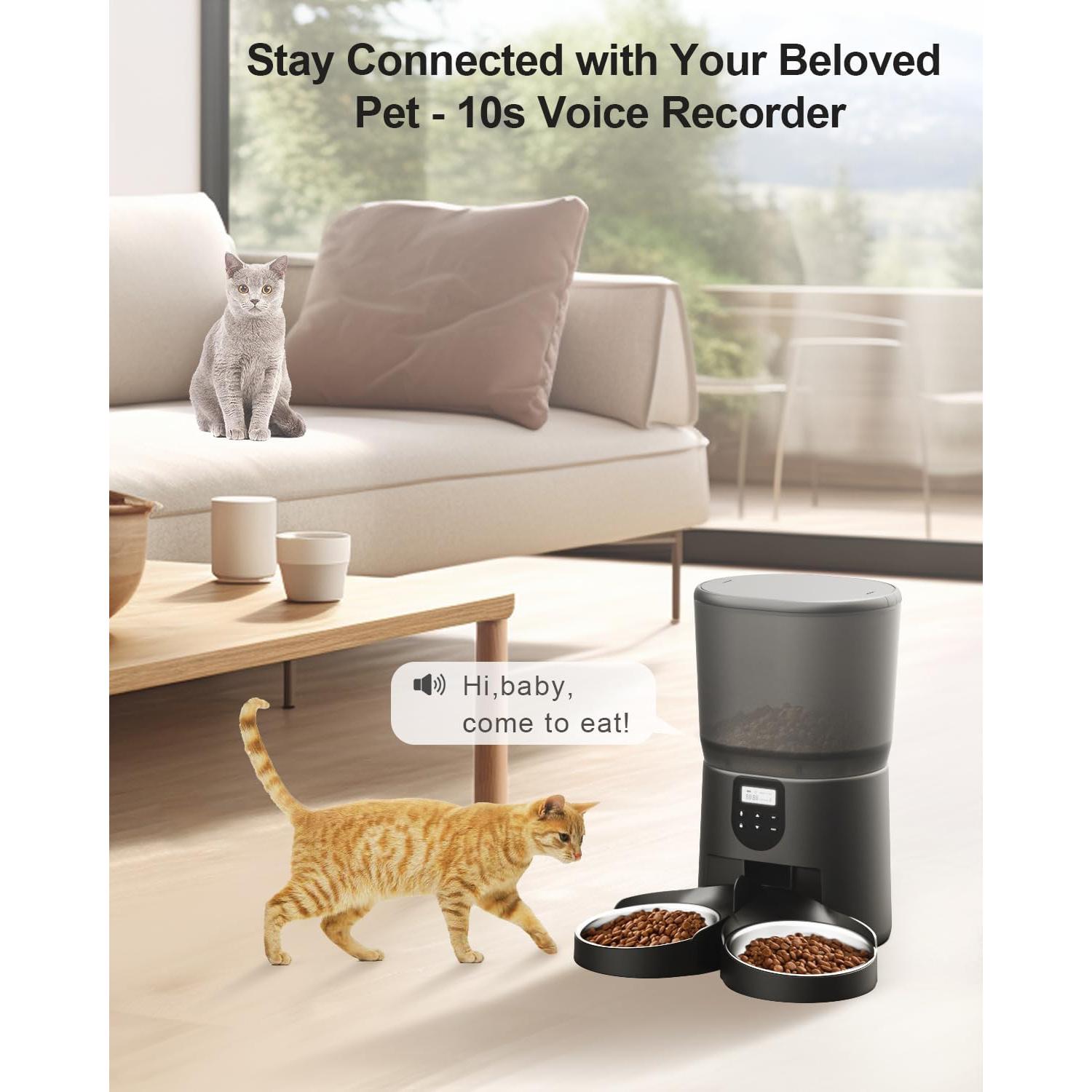 Dispensador automático de comida para 2 gatos CORGOTE 6L