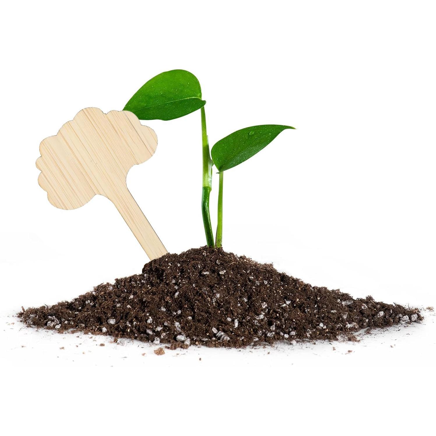 Etiquetas de Plantas de Bambú OBTANIM 75 Piezas Nube