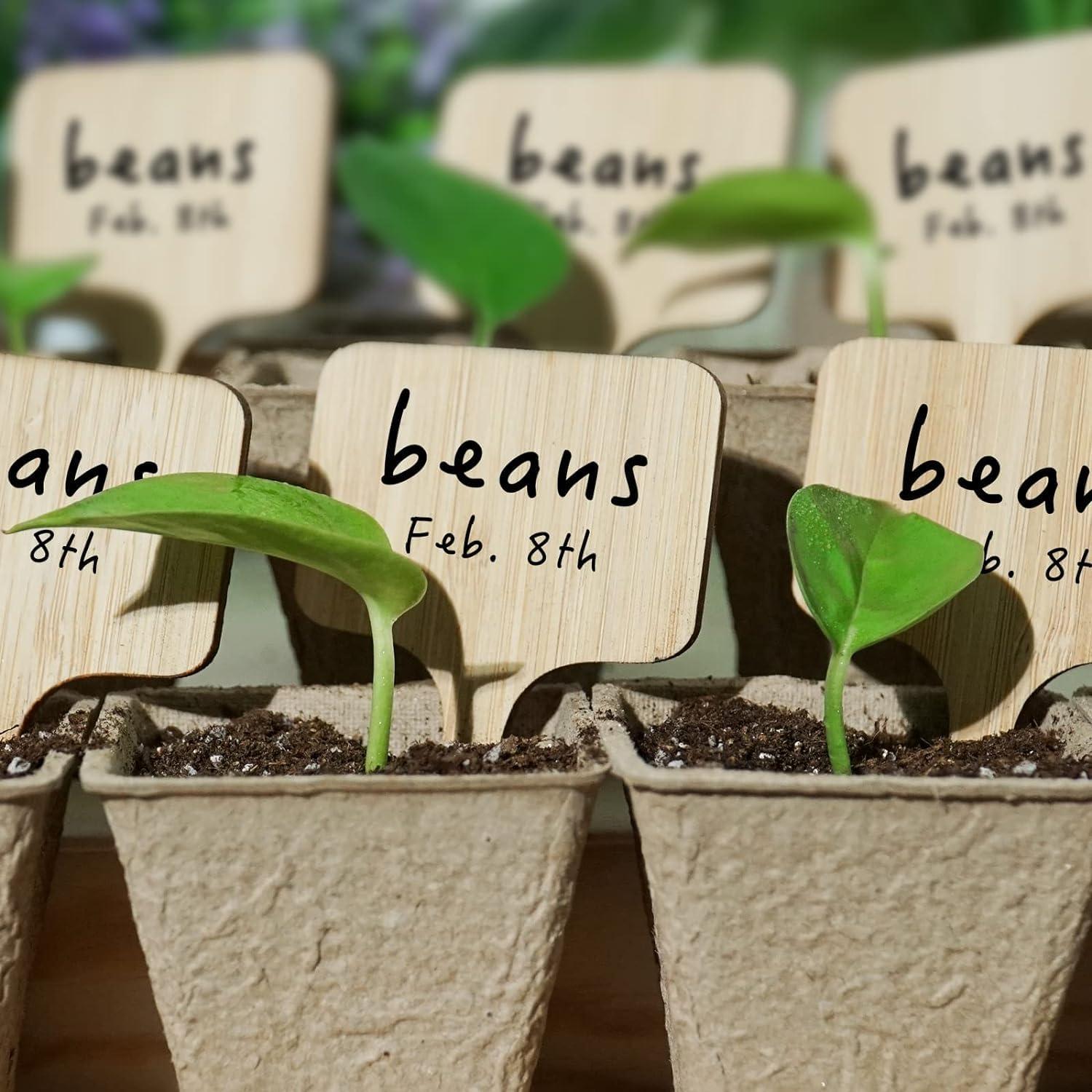 Etiquetas de Plantas de Bambú OBTANIM 75 Piezas Nube