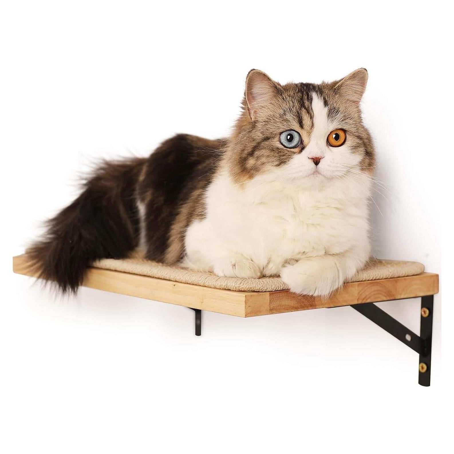 Estantería para Gatos FUKUMARU 40 x 25 cm Madera con Sisal