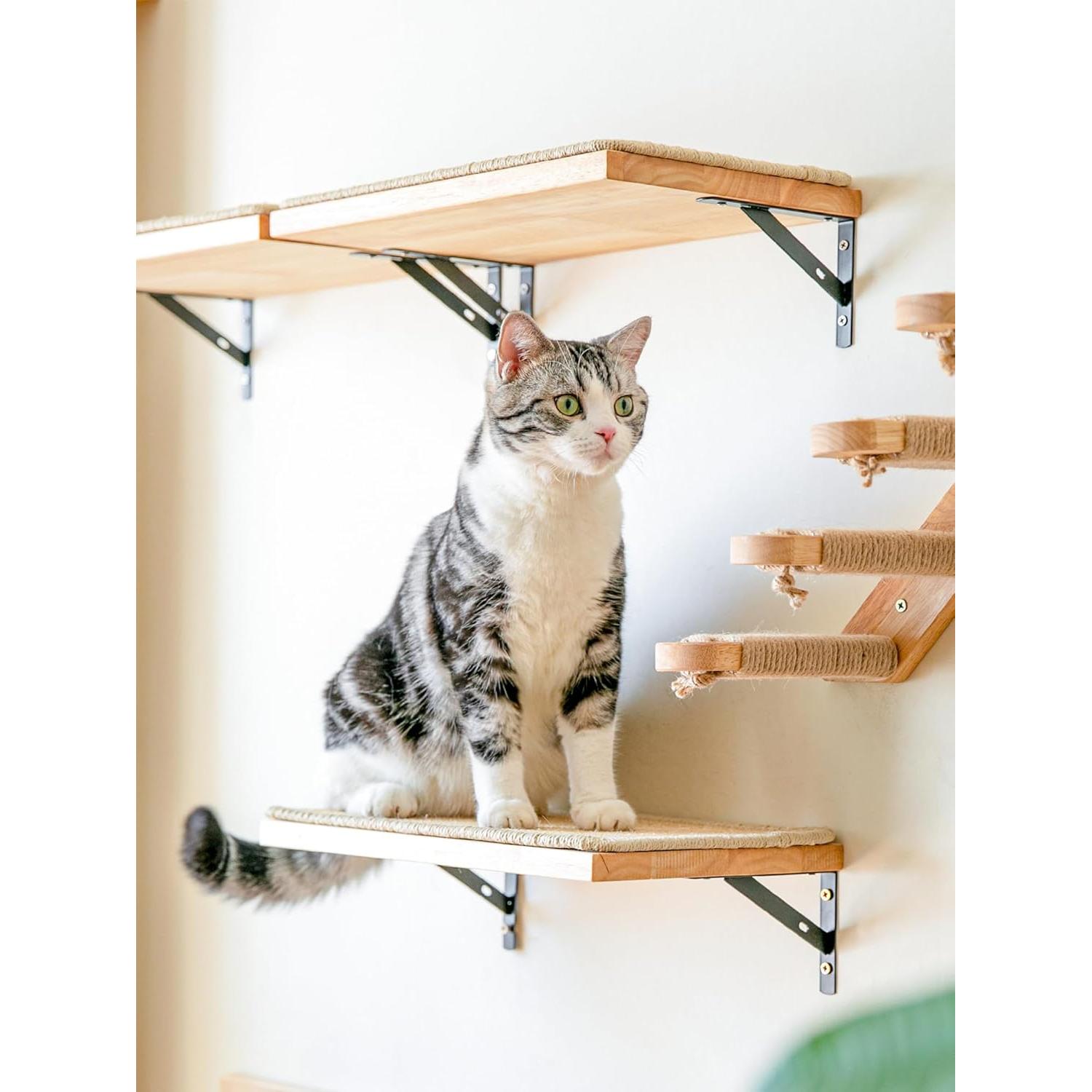 Estantería para Gatos FUKUMARU 40 x 25 cm Madera con Sisal