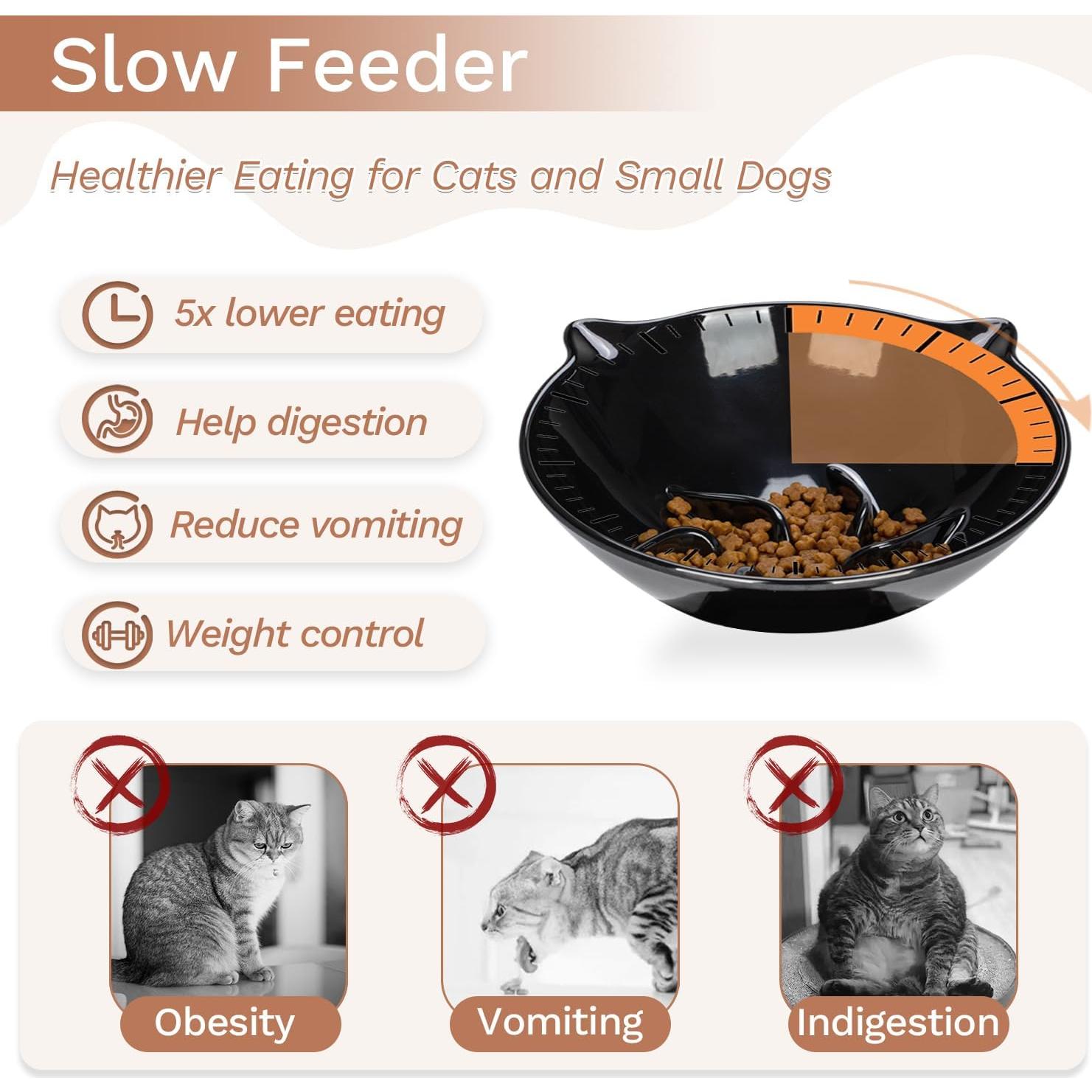 Cuenco Elevado para Gatos LuckyPots 7" Antivómito y Amigable