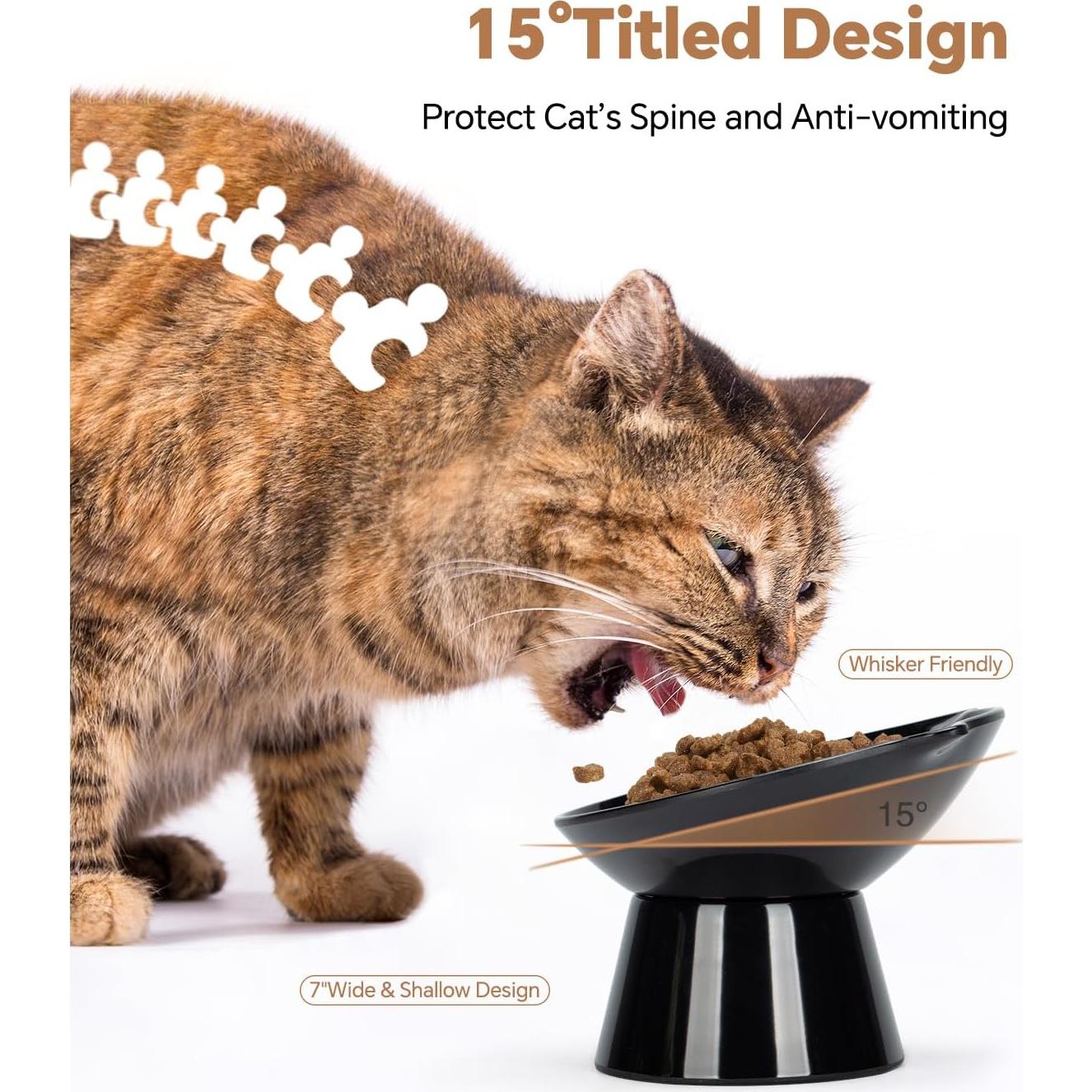 Cuenco Elevado para Gatos LuckyPots 7" Antivómito y Amigable