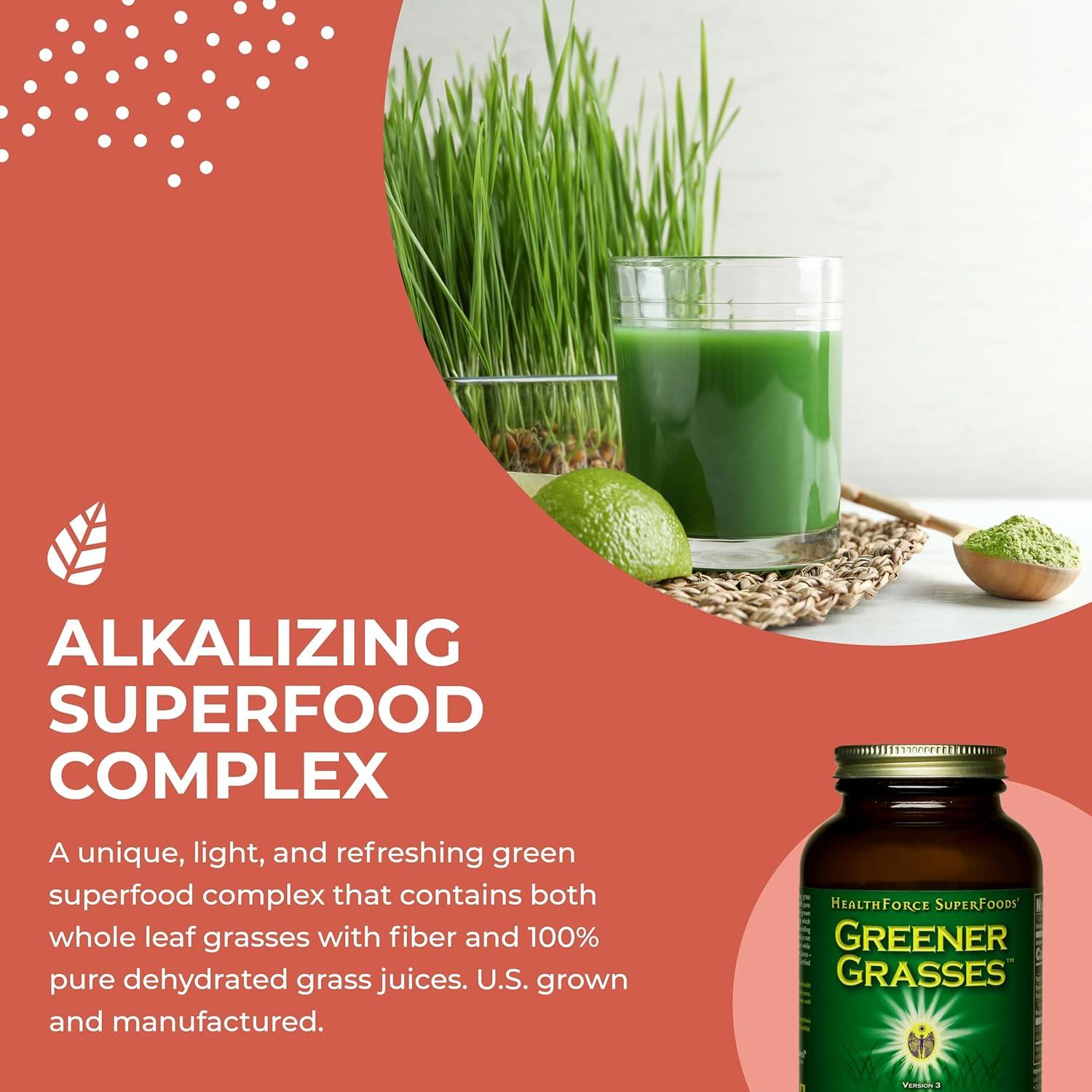 Polvo de Grasses Verdes HealthForce SuperFoods 142g Orgánico