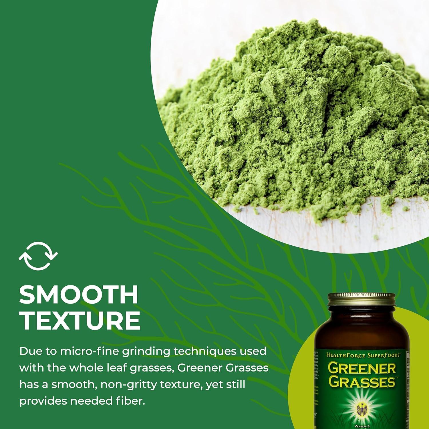 Polvo de Grasses Verdes HealthForce SuperFoods 142g Orgánico