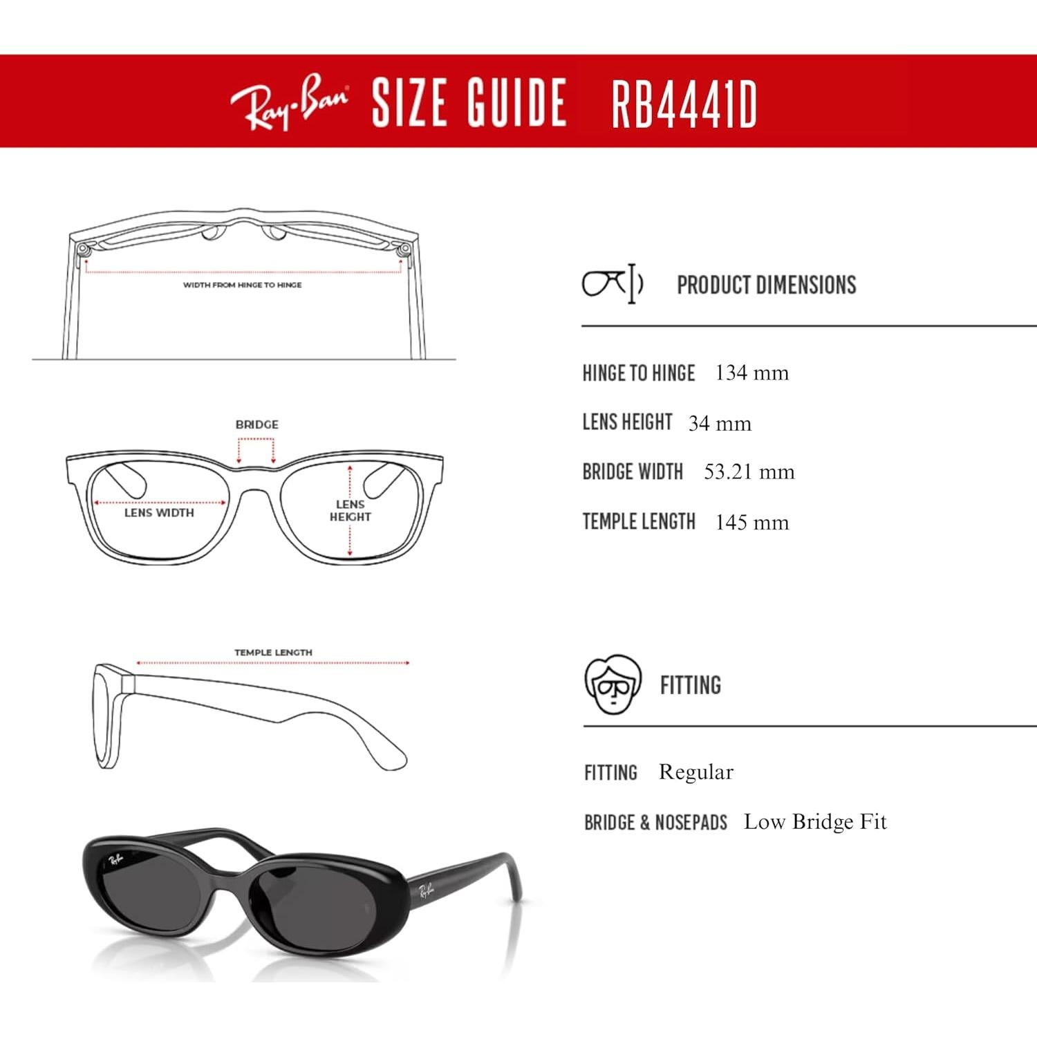 Gafas de sol ovaladas Ray-Ban RB4441D unisex con kit de accesorios