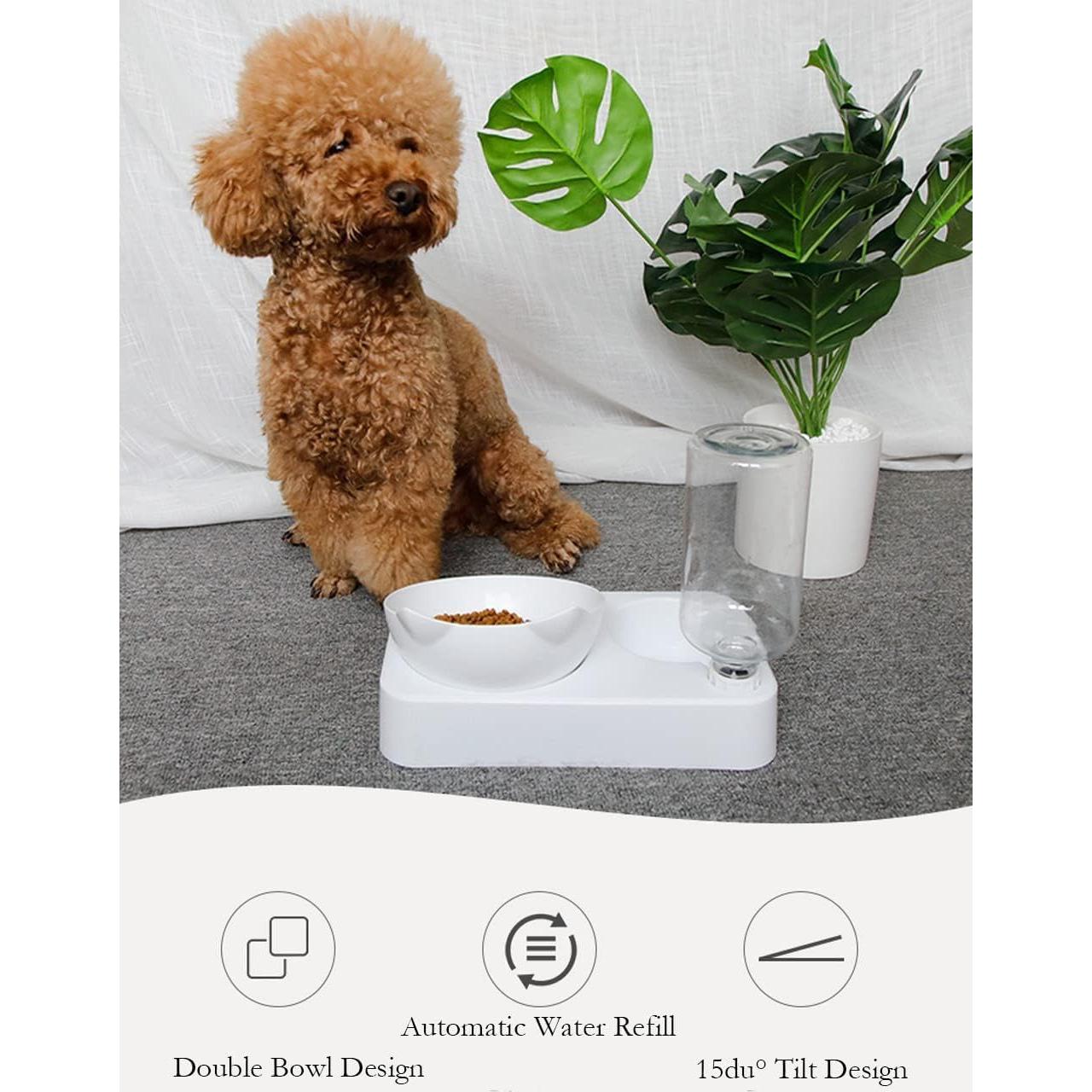 Cuencos Elevados para Gatos Marchul, Doble Cuenco Inclinación 15°