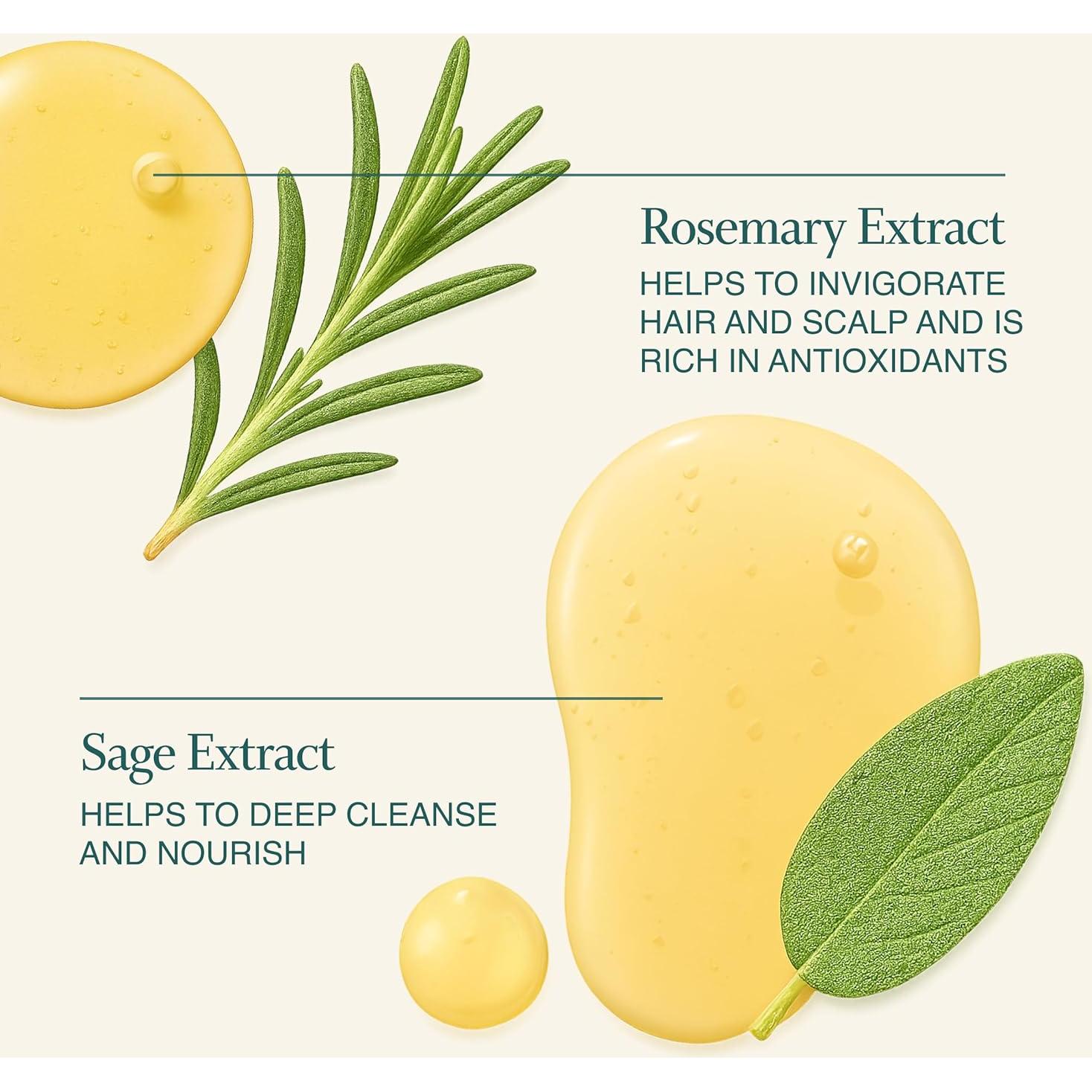 Champú Aclarador y Detox Function of Beauty 311 ml - Vegano