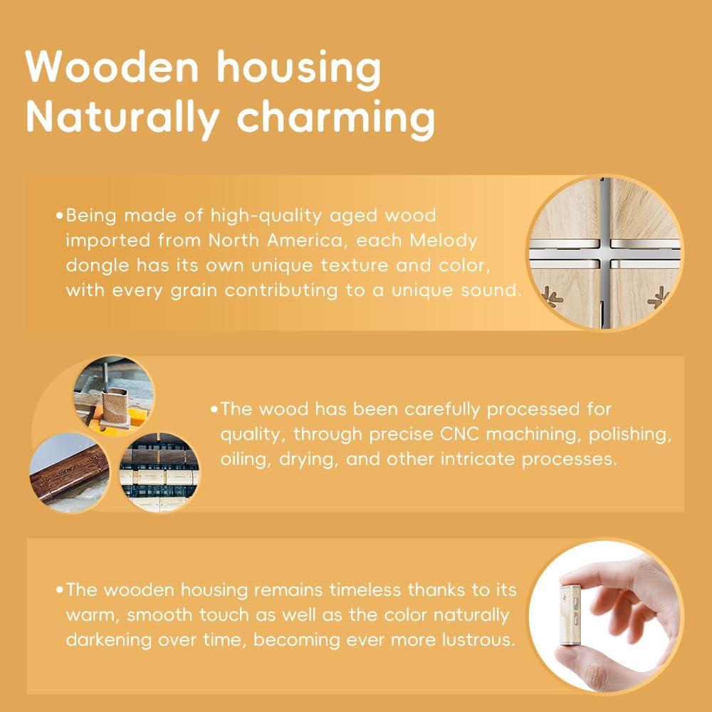 Amplificador de Auriculares FiiO Melody DAC Portátil 81.9g