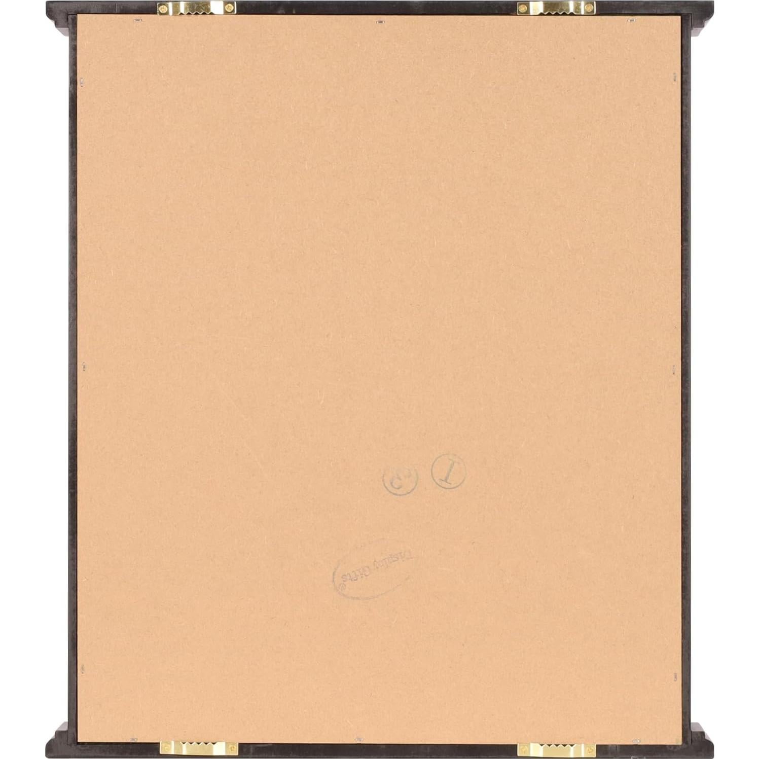 DisplayGifts Caja de Exhibición para 49 Pelotas de Golf Negra