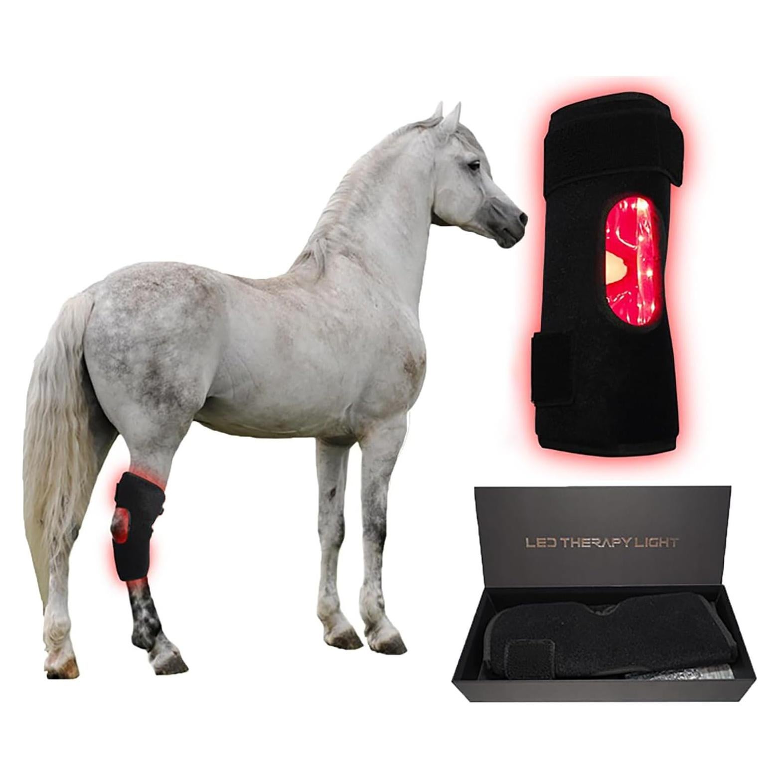 Terapia de Luz Roja LED GOURIXIN para Rodilla Equina 660nm/850nm