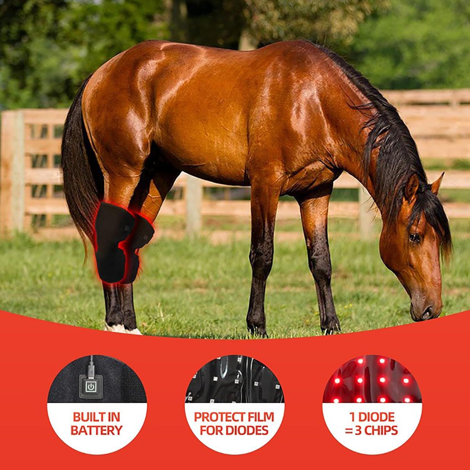 Terapia de Luz Roja LED GOURIXIN para Rodilla Equina 660nm/850nm