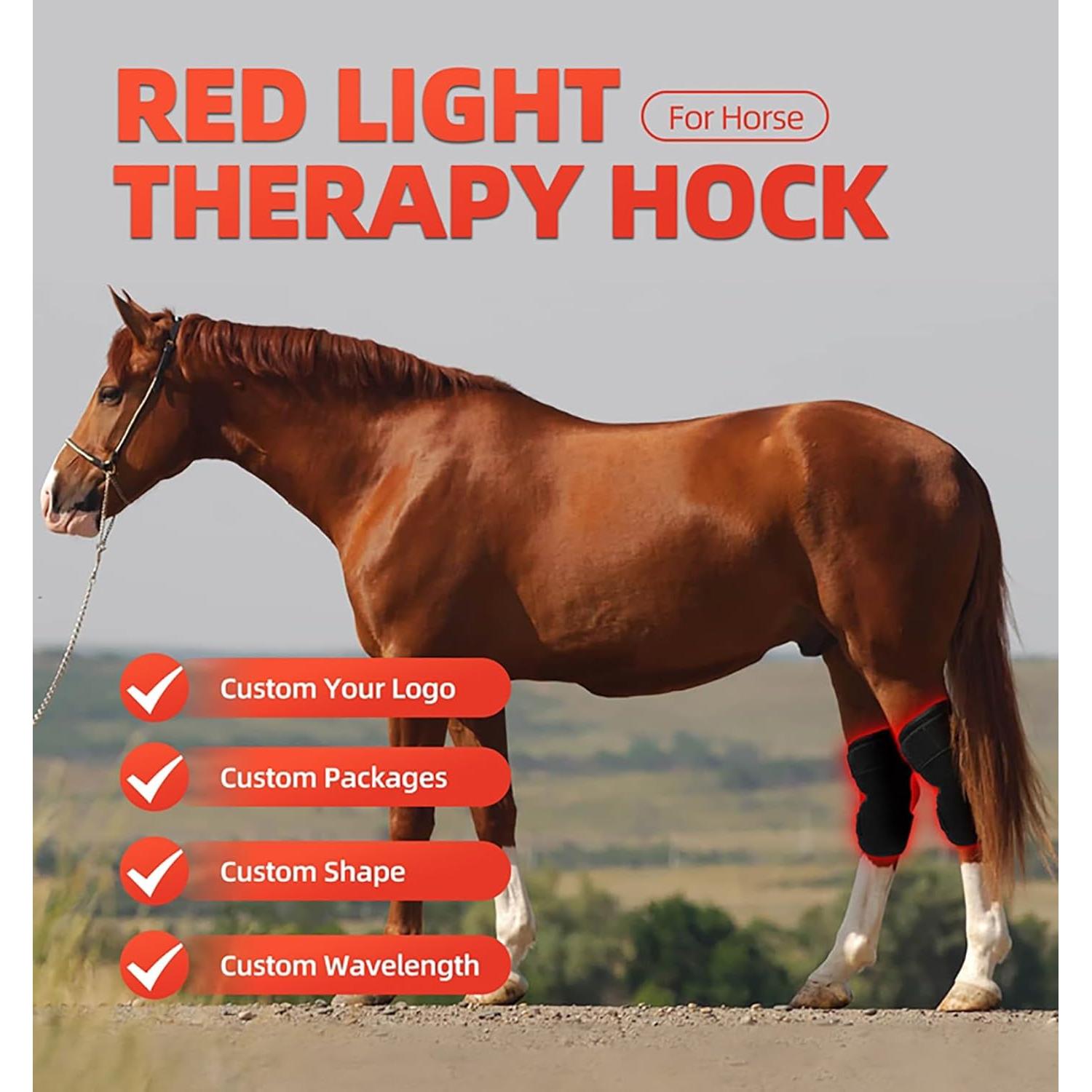 Terapia de Luz Roja LED GOURIXIN para Rodilla Equina 660nm/850nm
