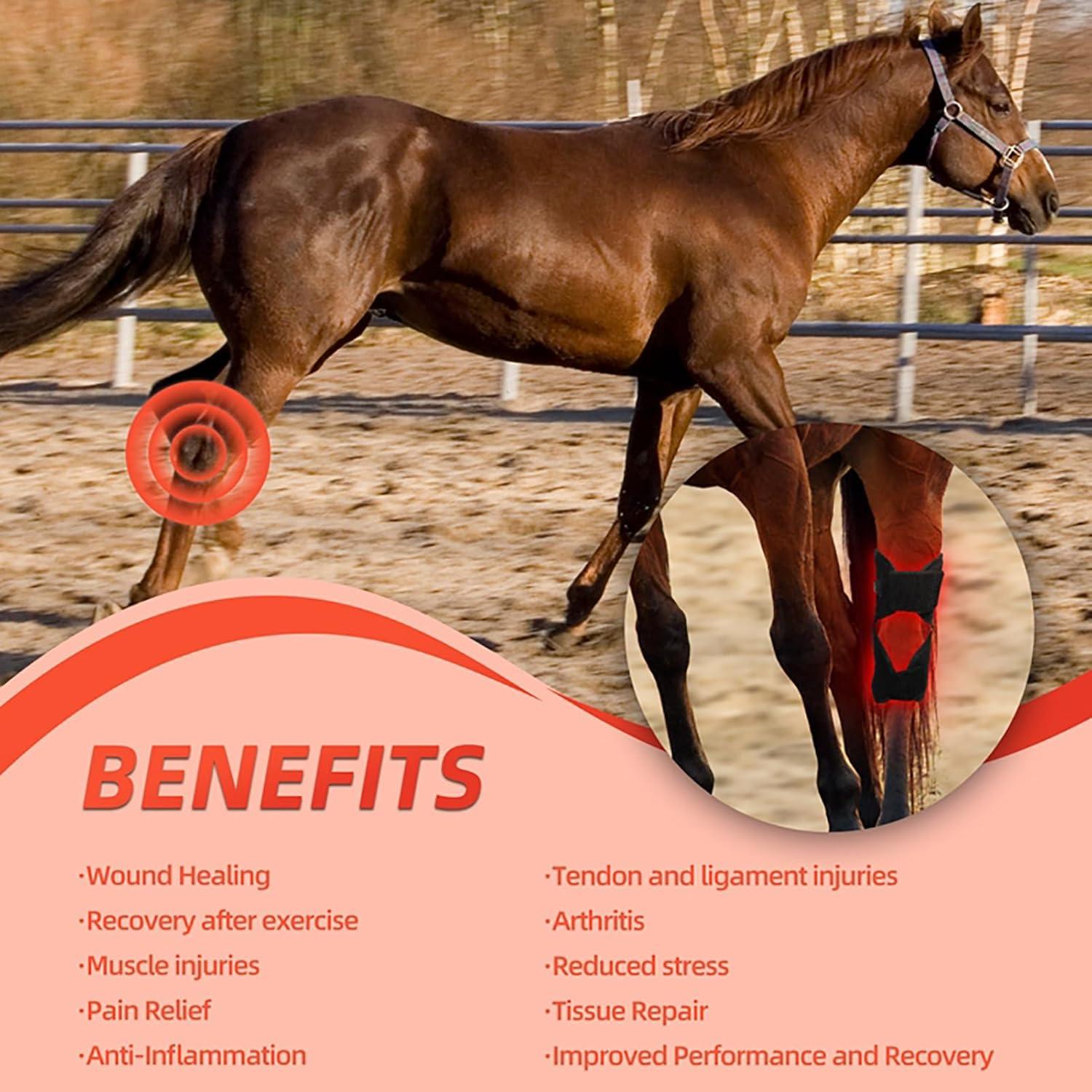 Terapia de Luz Roja LED GOURIXIN para Rodilla Equina 660nm/850nm