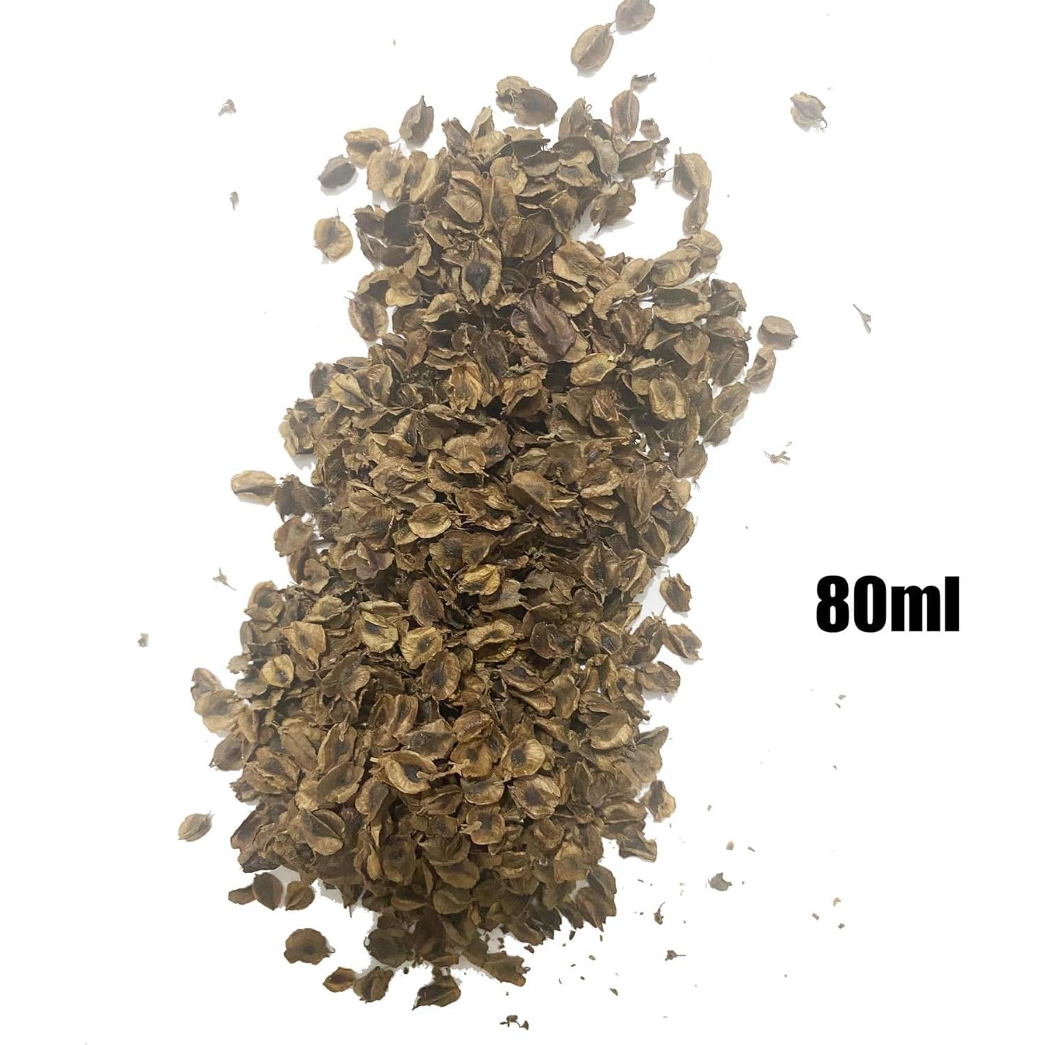 Hojas Miniatura Realistas Cayway para Diorama Jardín 80ml