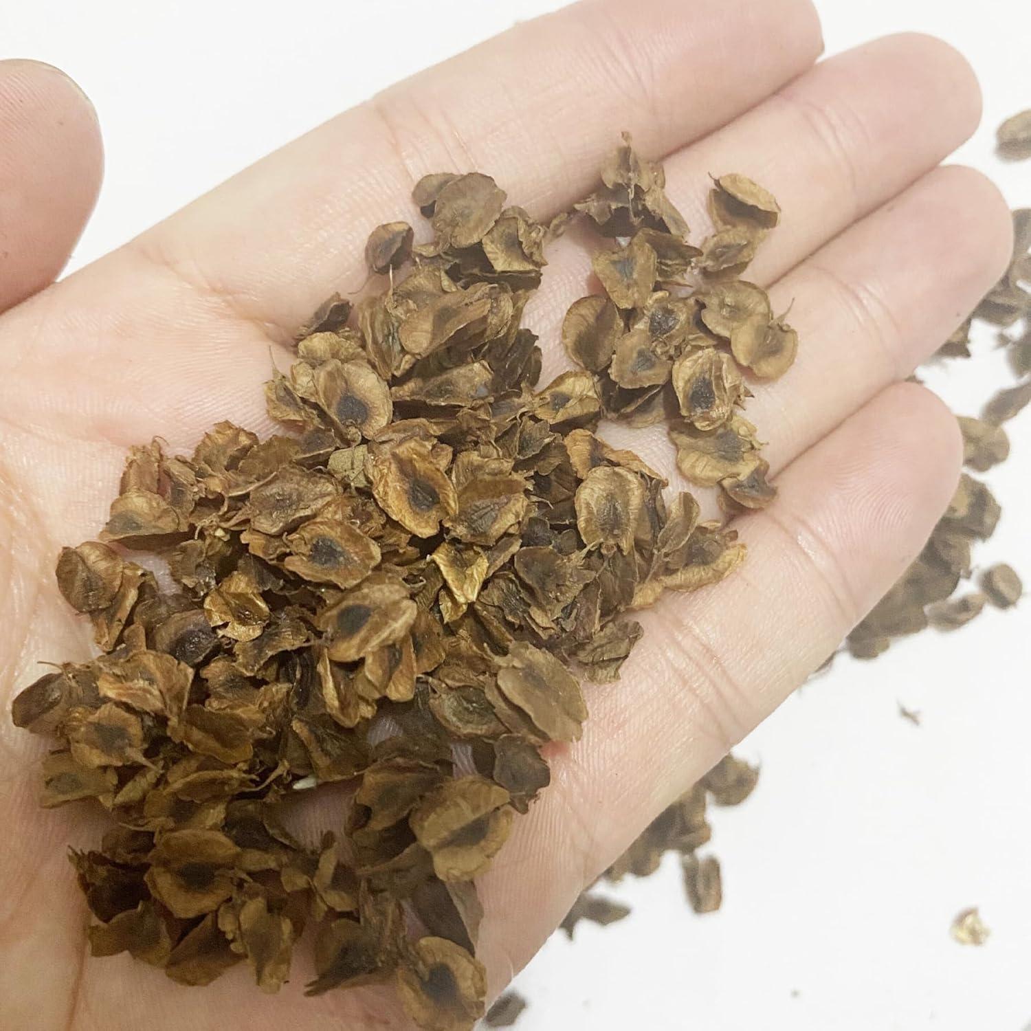 Hojas Miniatura Realistas Cayway para Diorama Jardín 80ml