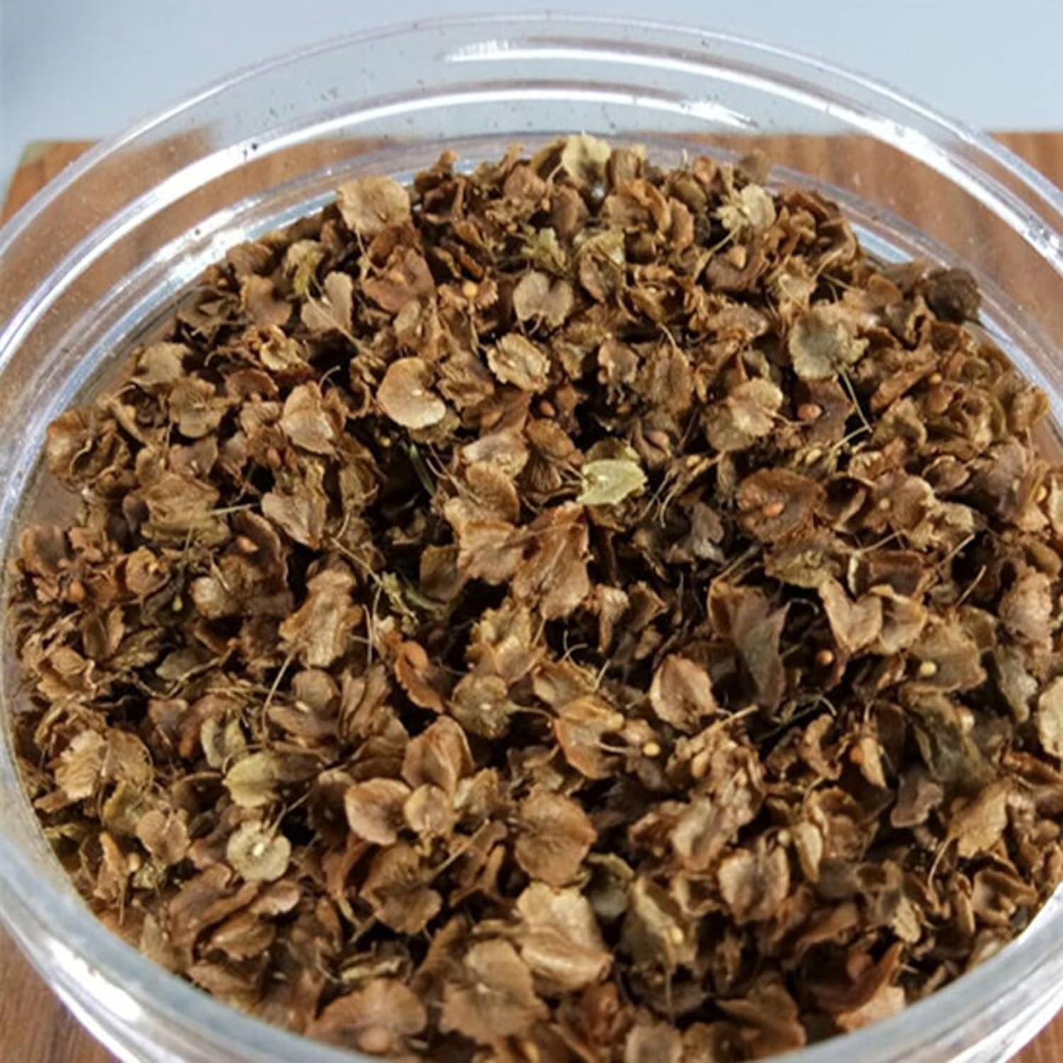 Hojas Miniatura Realistas Cayway para Diorama Jardín 80ml