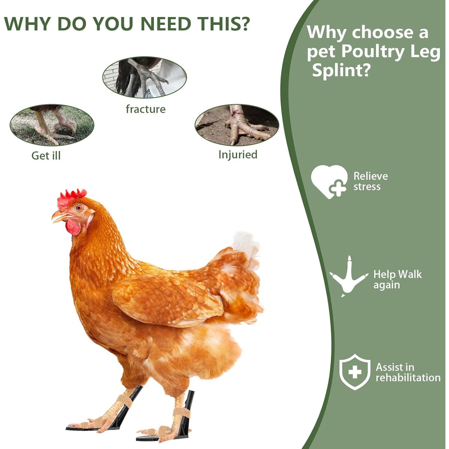 Férulas de pierna protésica NomadPeak para aves - 2 paquetes