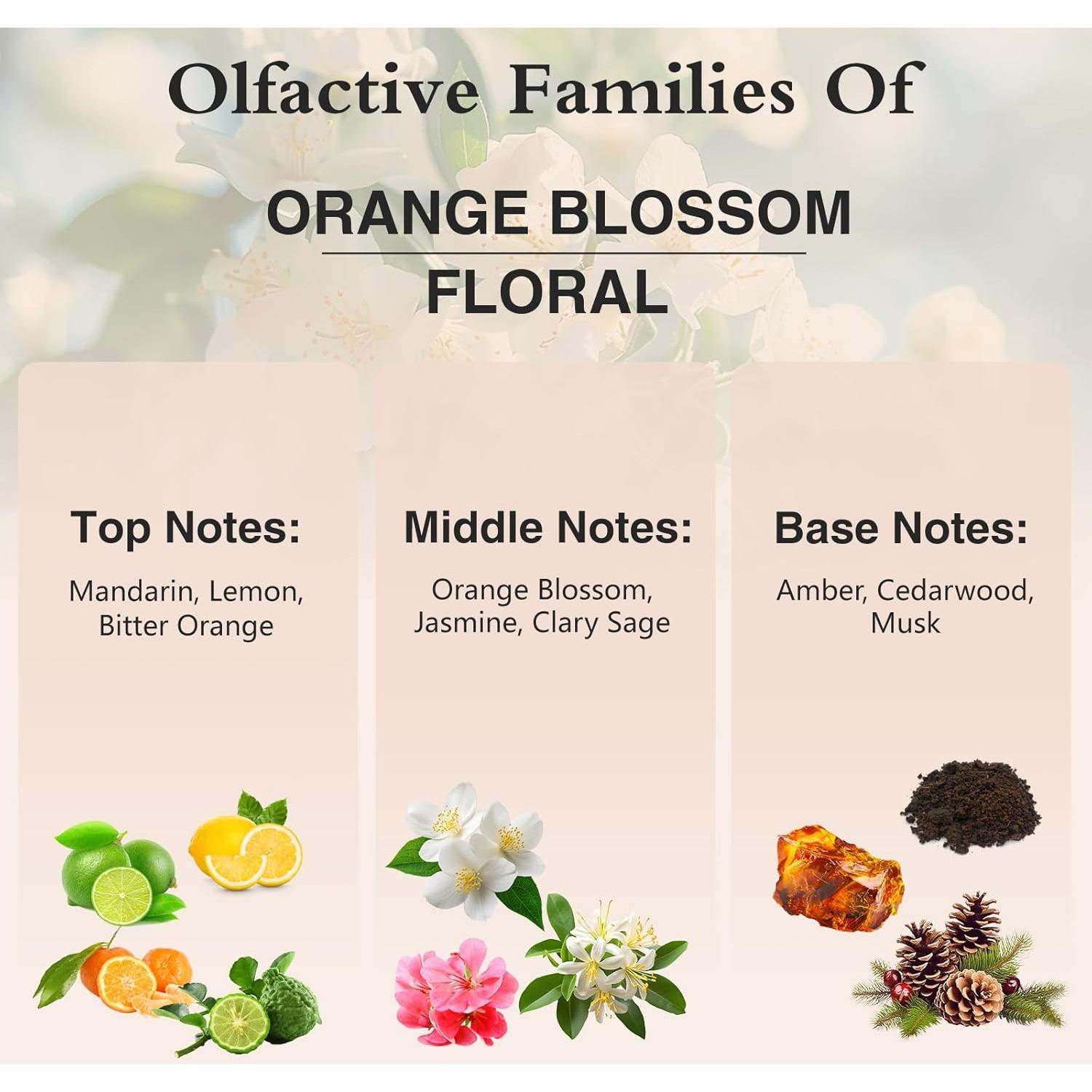 Aceite Aromático de Flor de Naranjo PHATOIL 100ml para Difusor