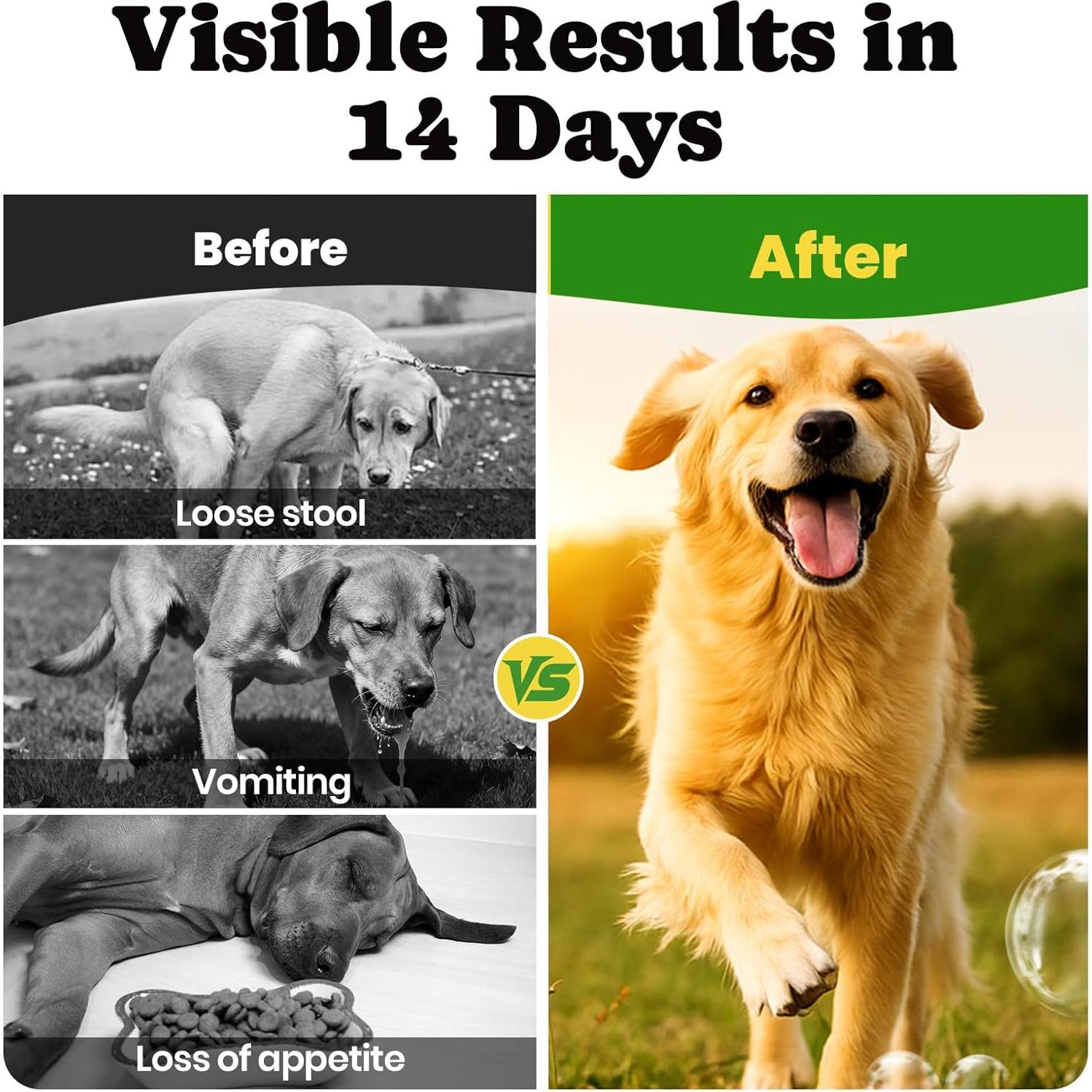 Probioticos para Perros BuddyCheer 180 Masticables Salud Intestinal