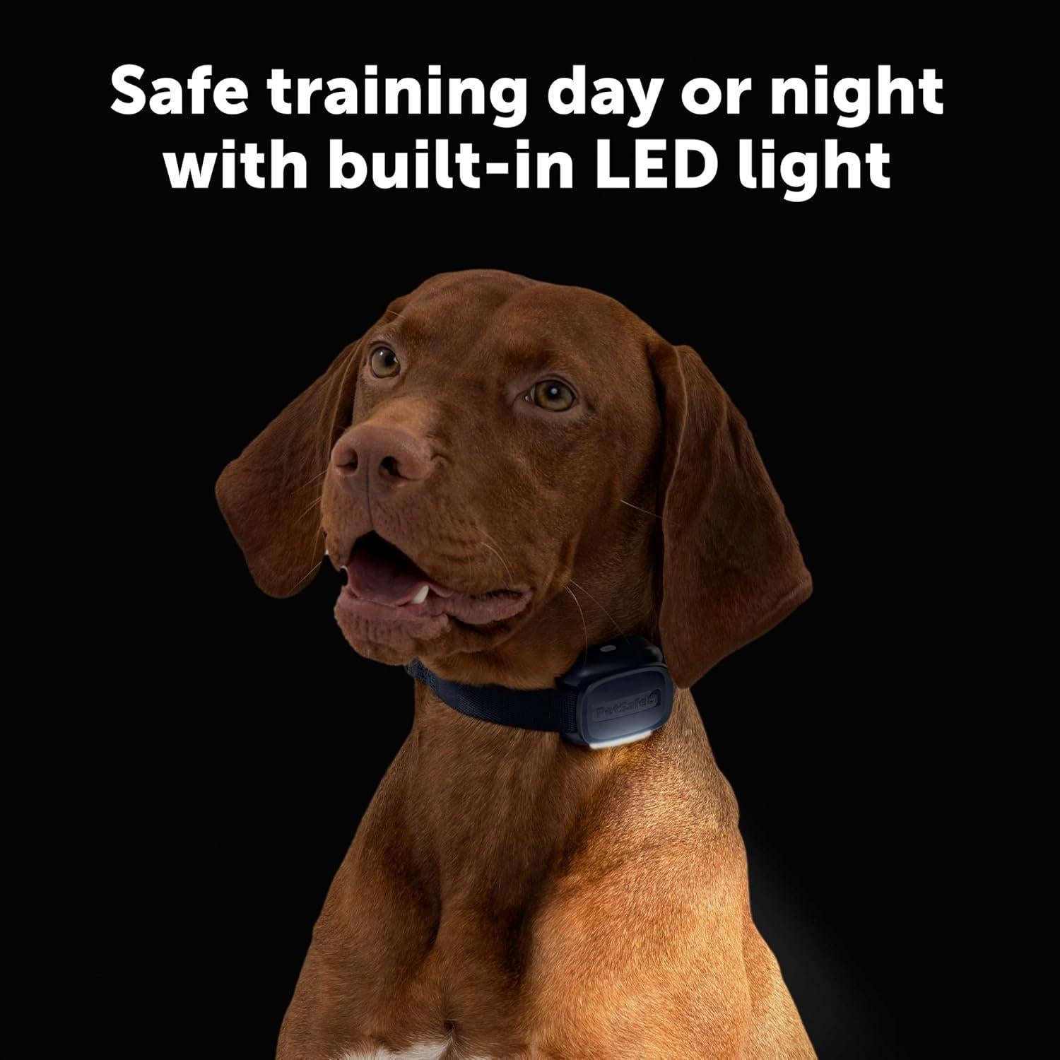 Entrenador de Perros PetSafe Core con Control Remoto - Collar Impermeable y Recargable