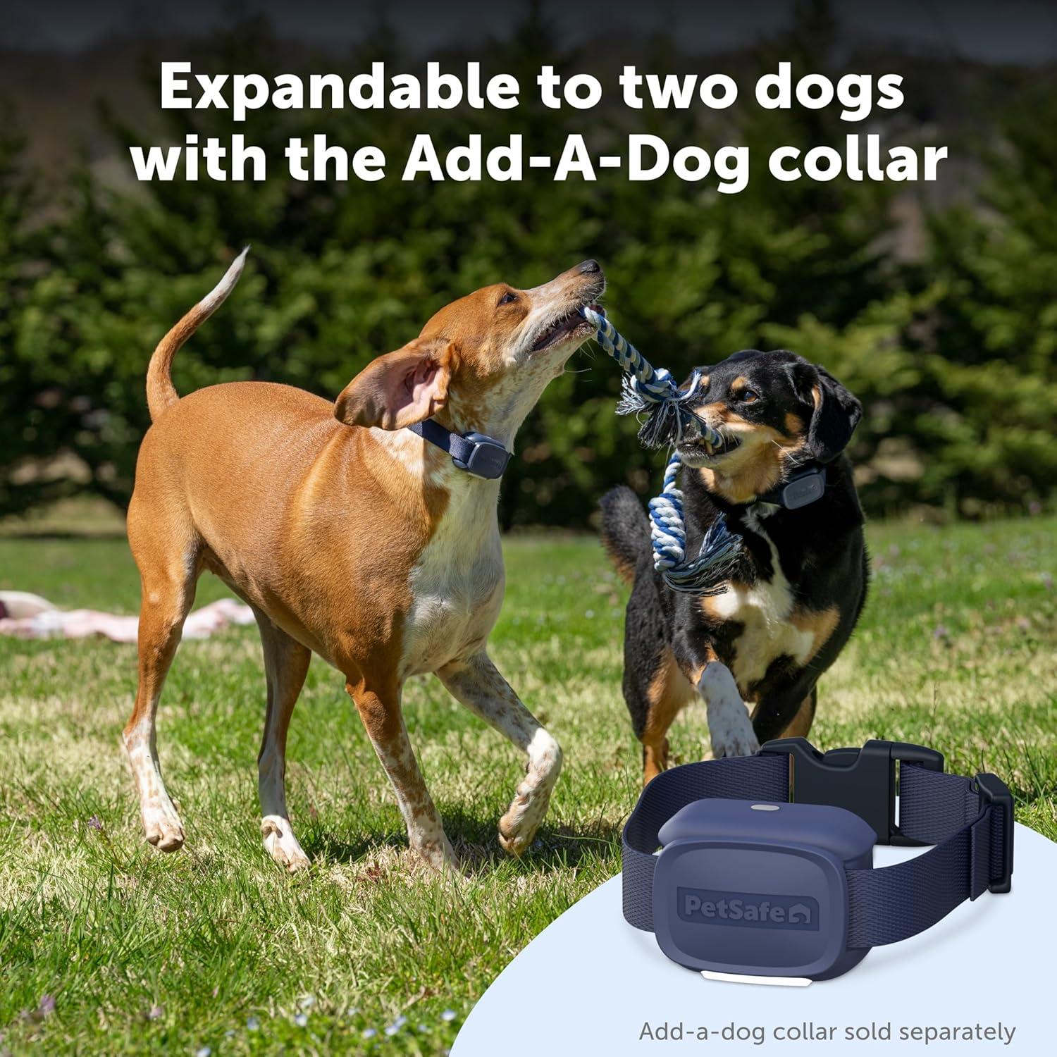 Entrenador de Perros PetSafe Core con Control Remoto - Collar Impermeable y Recargable