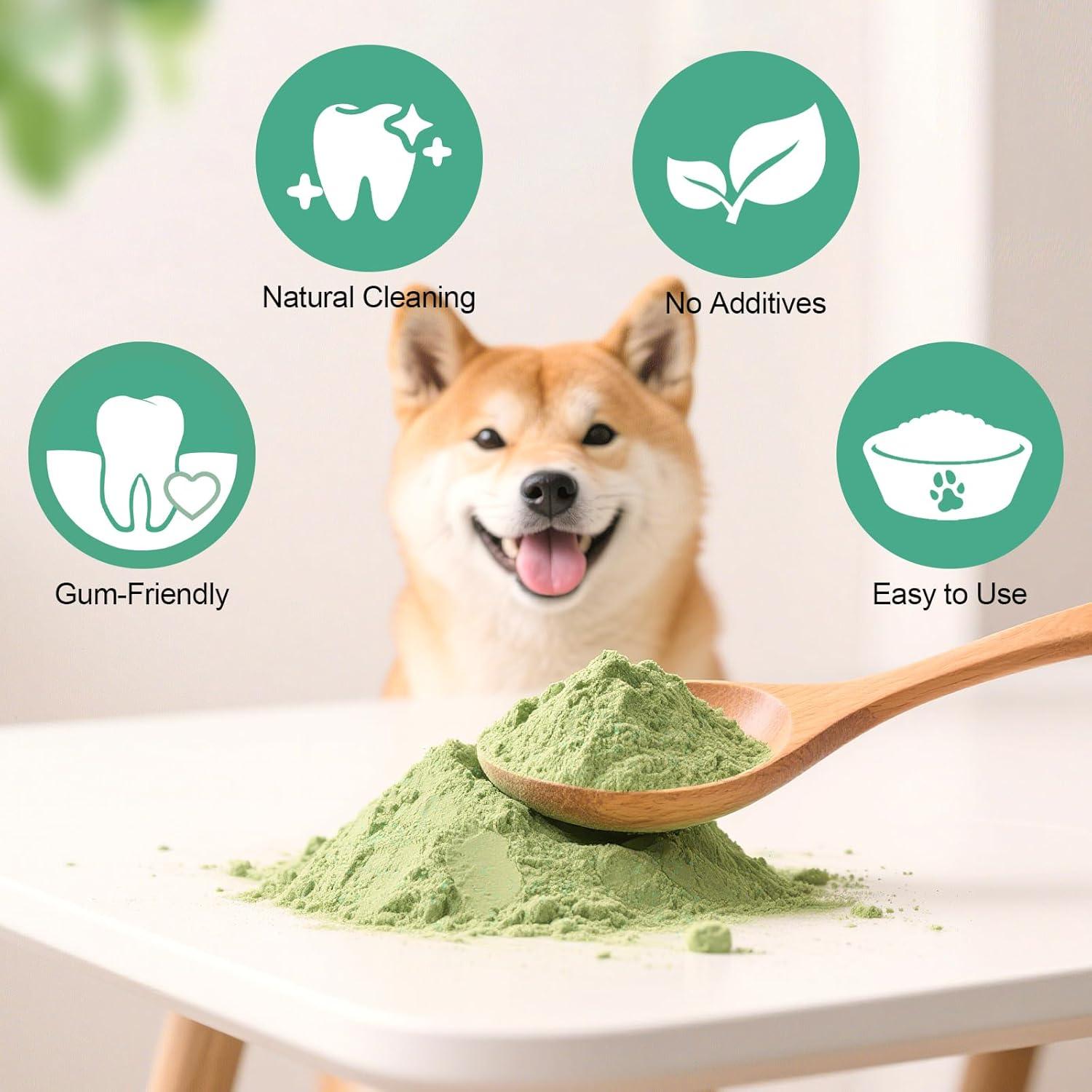 Polvo Dental Natural Koite 100g - Cuidado Oral para Perros y Gatos