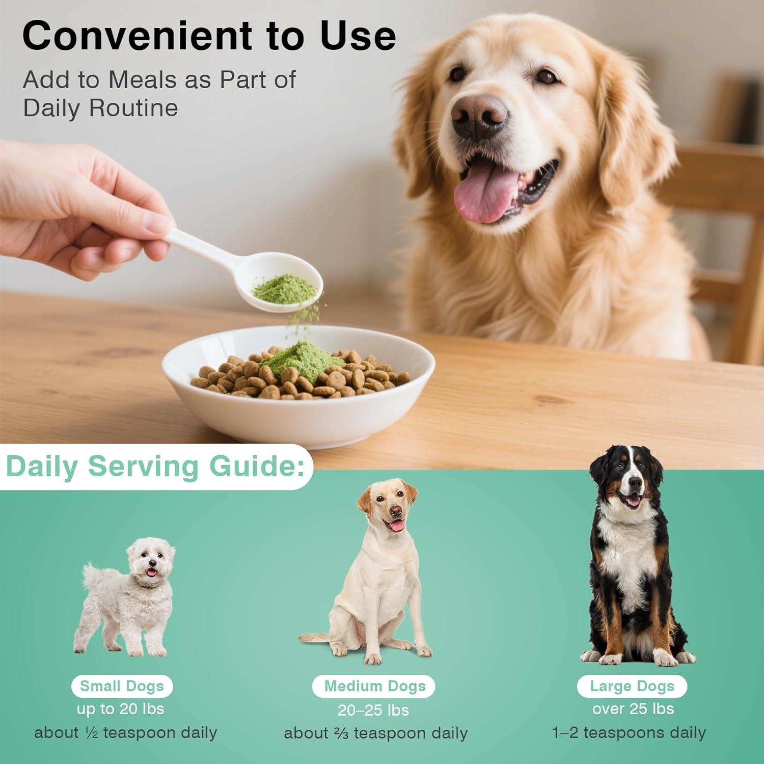 Polvo Dental Natural Koite 100g - Cuidado Oral para Perros y Gatos