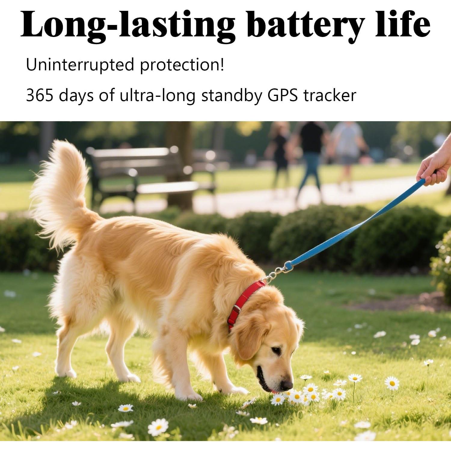 Rastreador GPS para mascotas VKAFW, impermeable, 365 días batería