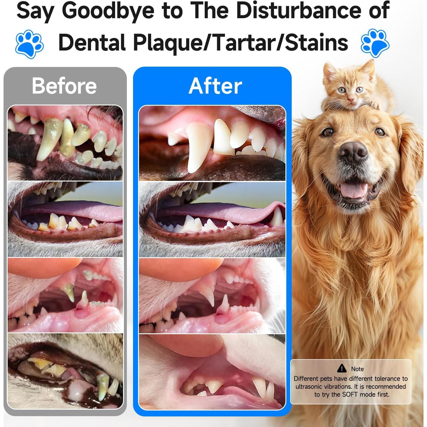 Kit de Limpieza Dental Ultrasónico CURVY MOON T5 para Perros