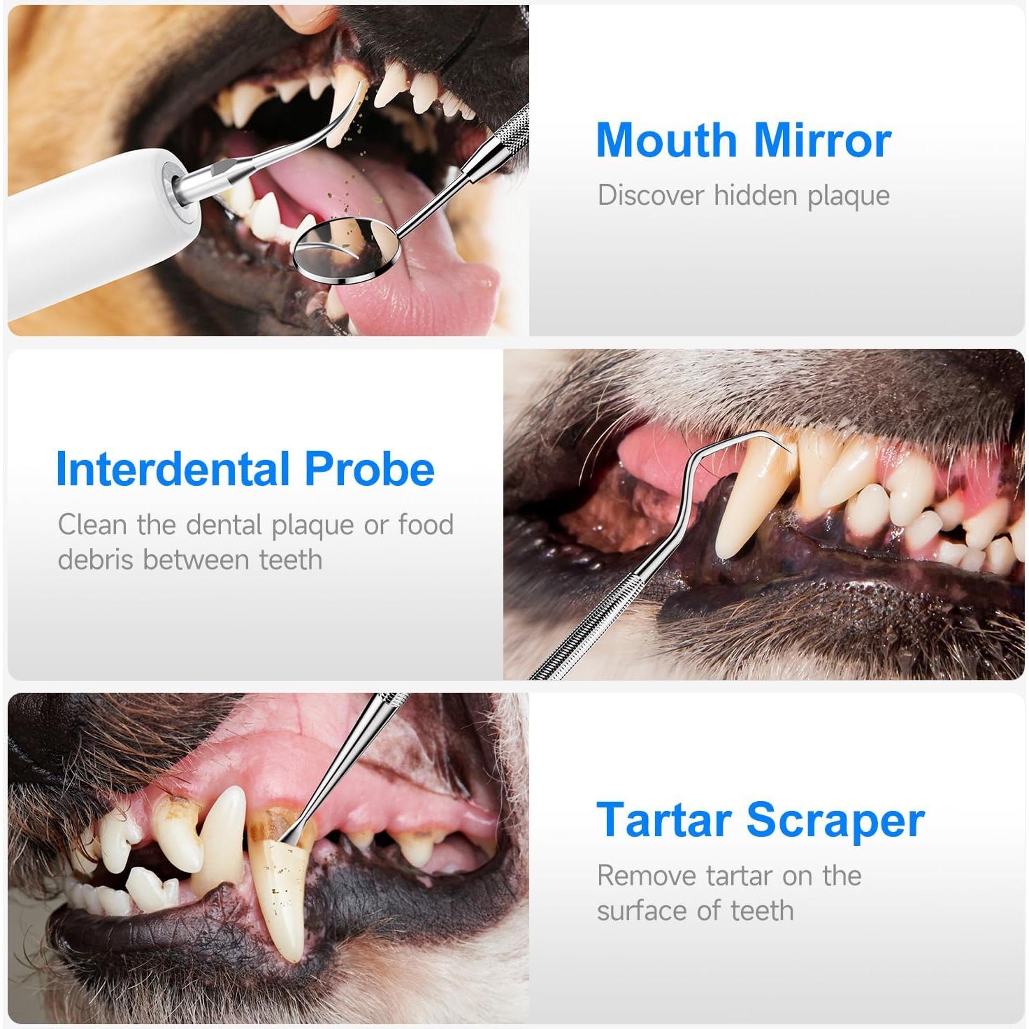 Kit de Limpieza Dental Ultrasónico CURVY MOON T5 para Perros