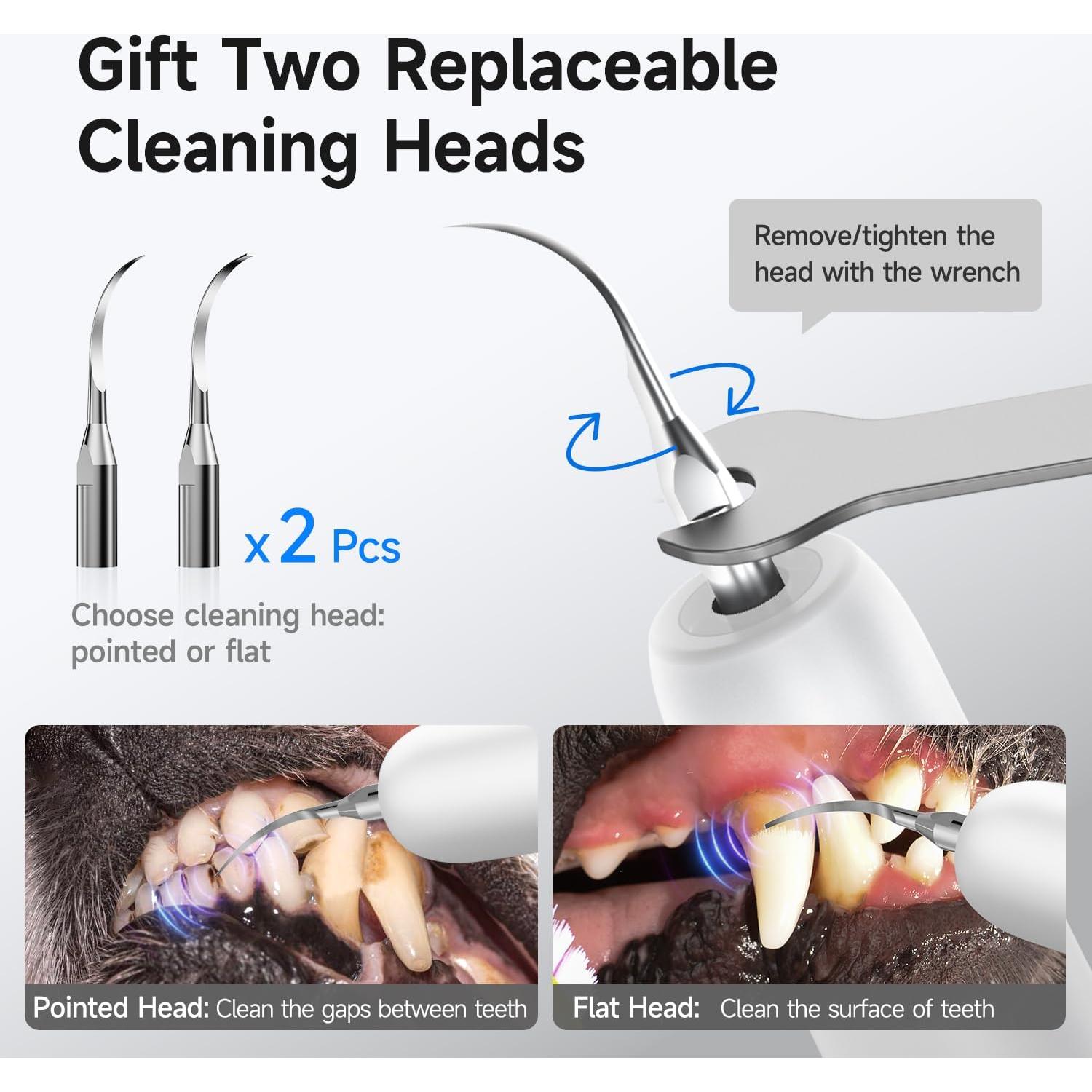 Kit de Limpieza Dental Ultrasónico CURVY MOON T5 para Perros