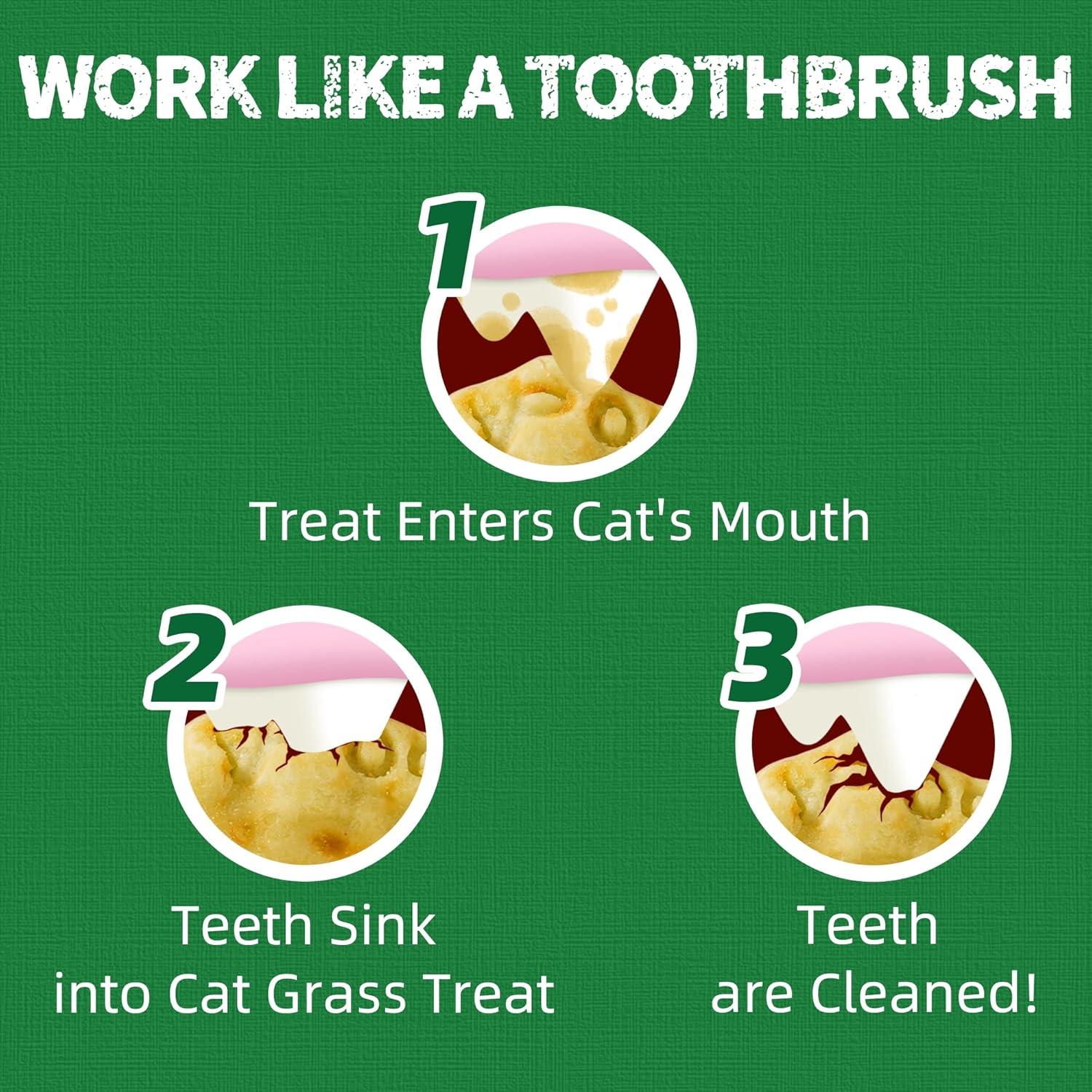 Golosinas para Gatos Solo Prueba 380g Salmón y Hierba Gatera