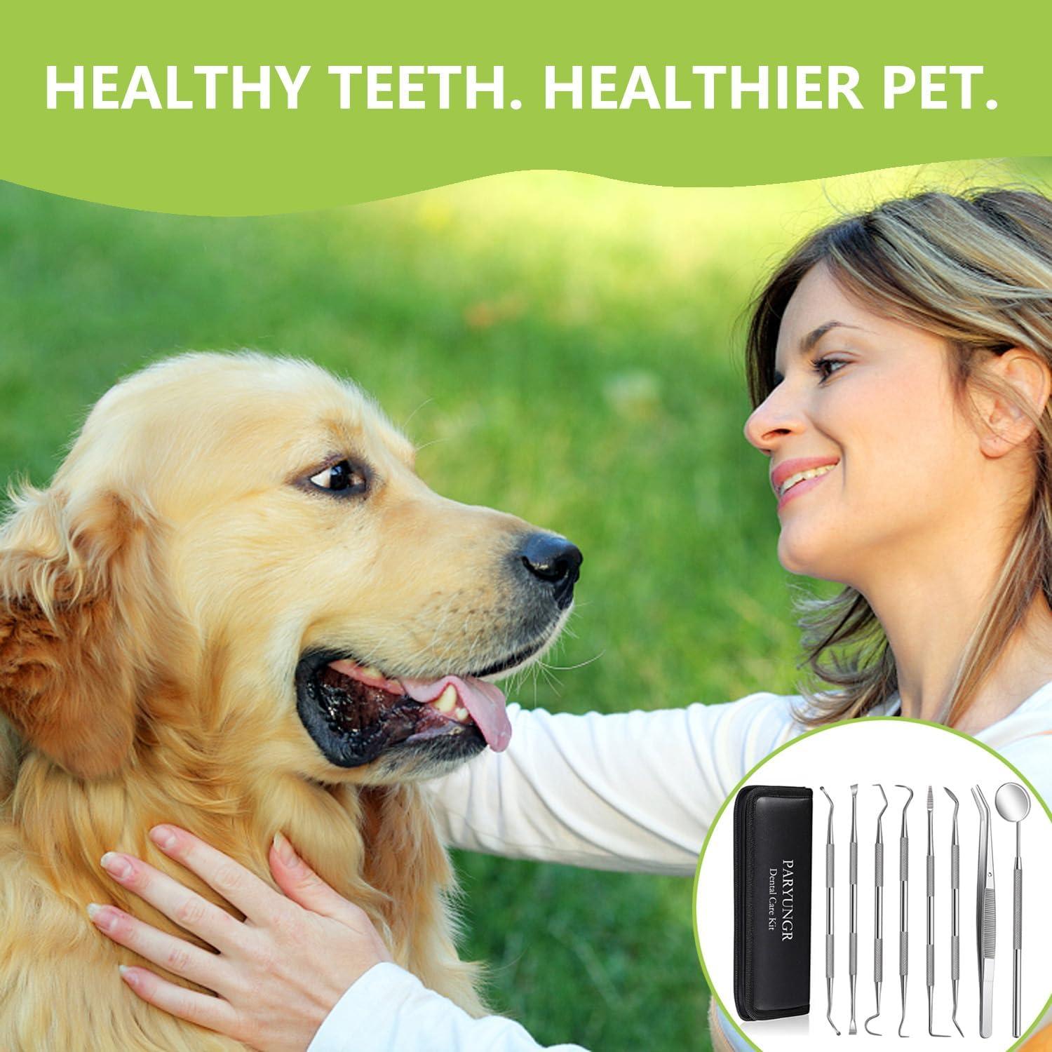 Kit de herramientas dentales para mascotas PARYUNGR 8 piezas
