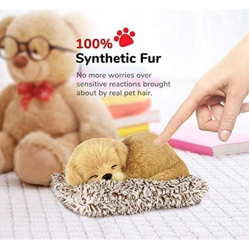 Mini Golden Retriever Interactivo Perfect Petzzz - Juguete Realista