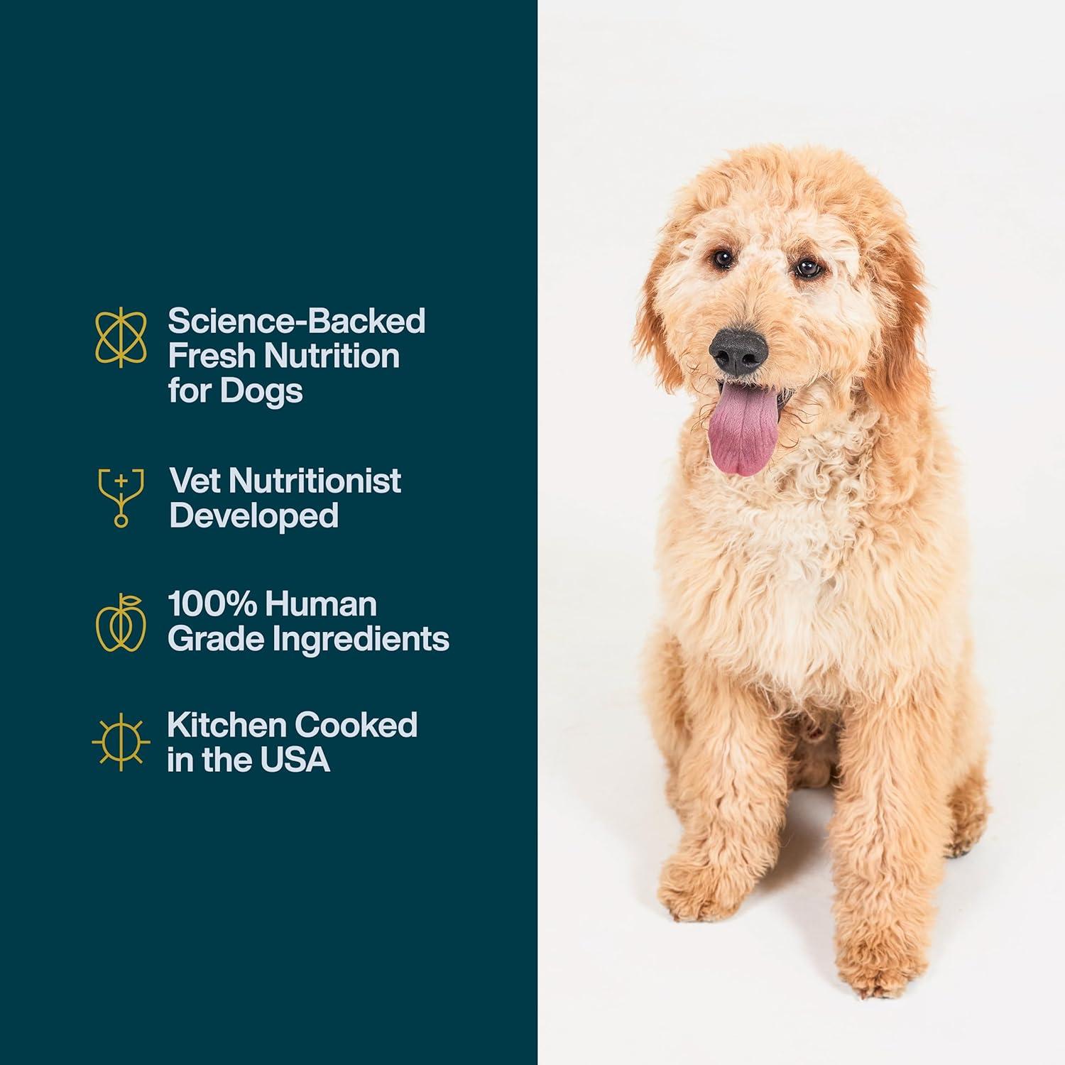 Comida Húmeda para Perros JustFoodForDogs Pollo 340g