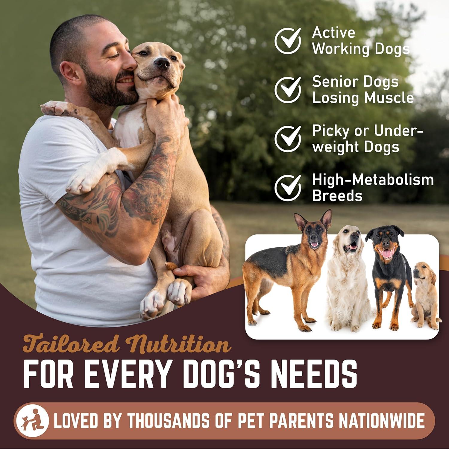 Suplemento Líquido Aumento de Peso Perros All American 60 Porciones