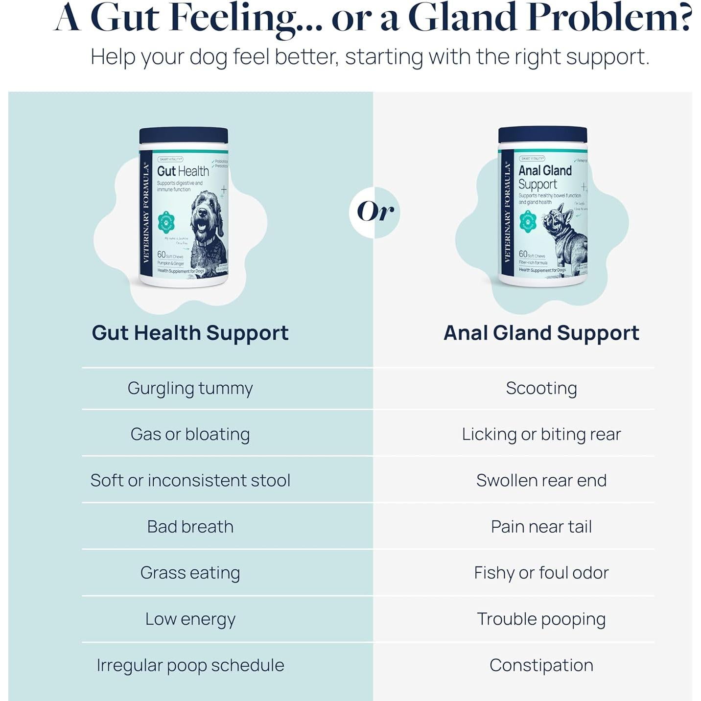 Suplemento Digestivo para Perros Veterinary Formula 60 Masticables