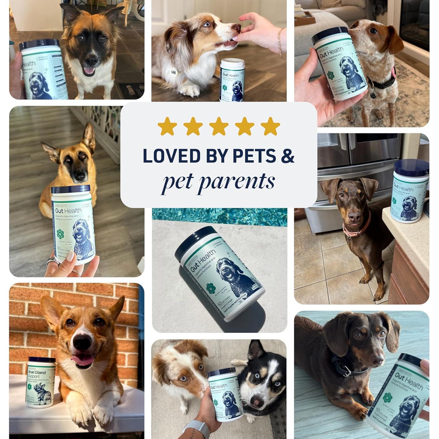 Suplemento Digestivo para Perros Veterinary Formula 60 Masticables