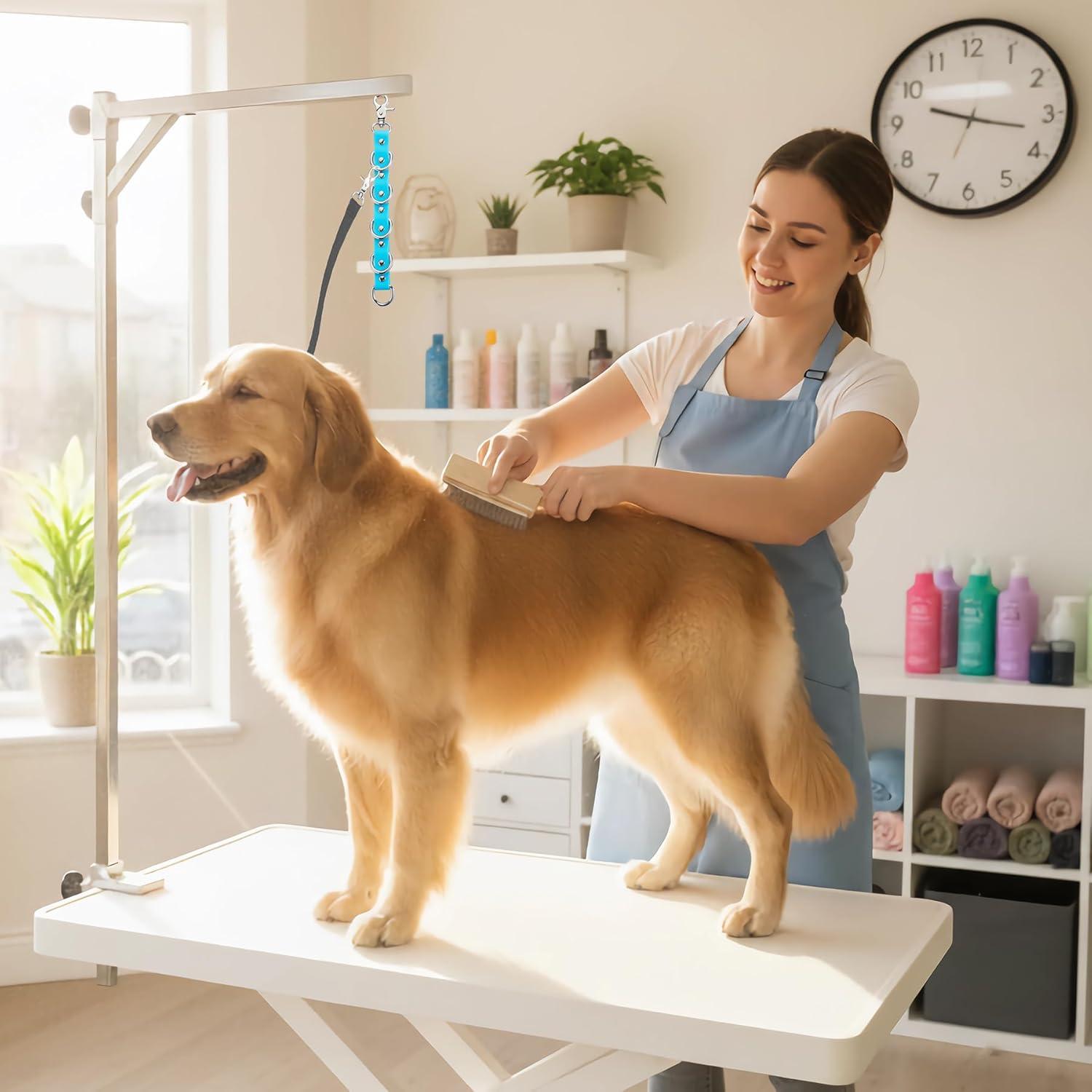 Correa de Extensión para Aseo de Perros DISCPETSEC 28 cm Azul