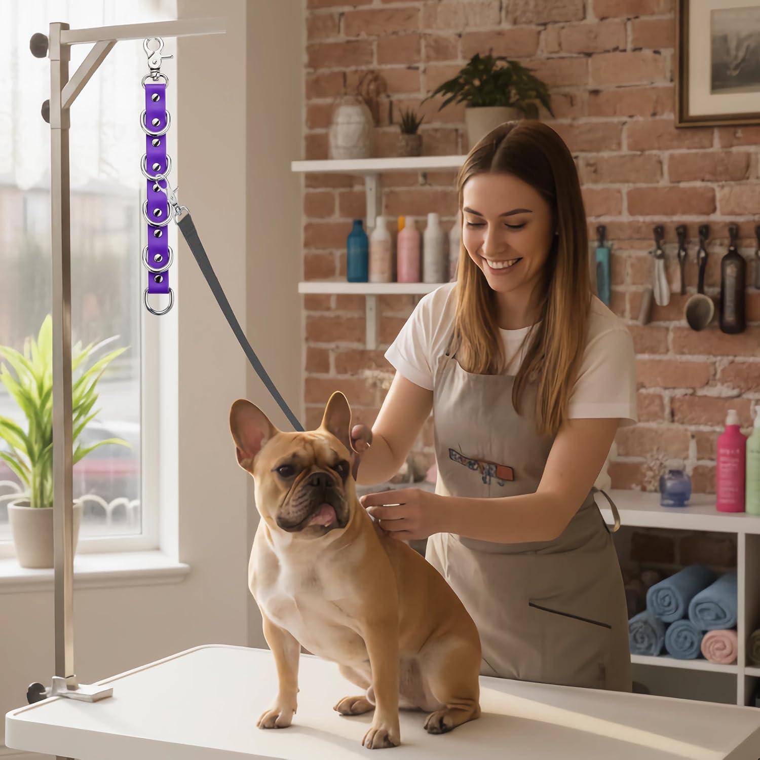 Correa de Extensión para Aseo de Perros DISCPETSEC 28 cm Azul