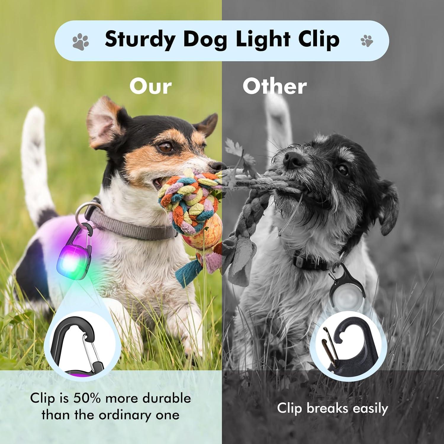 Luces LED Recargables para Perros POEEY - 4 Modos, IP68